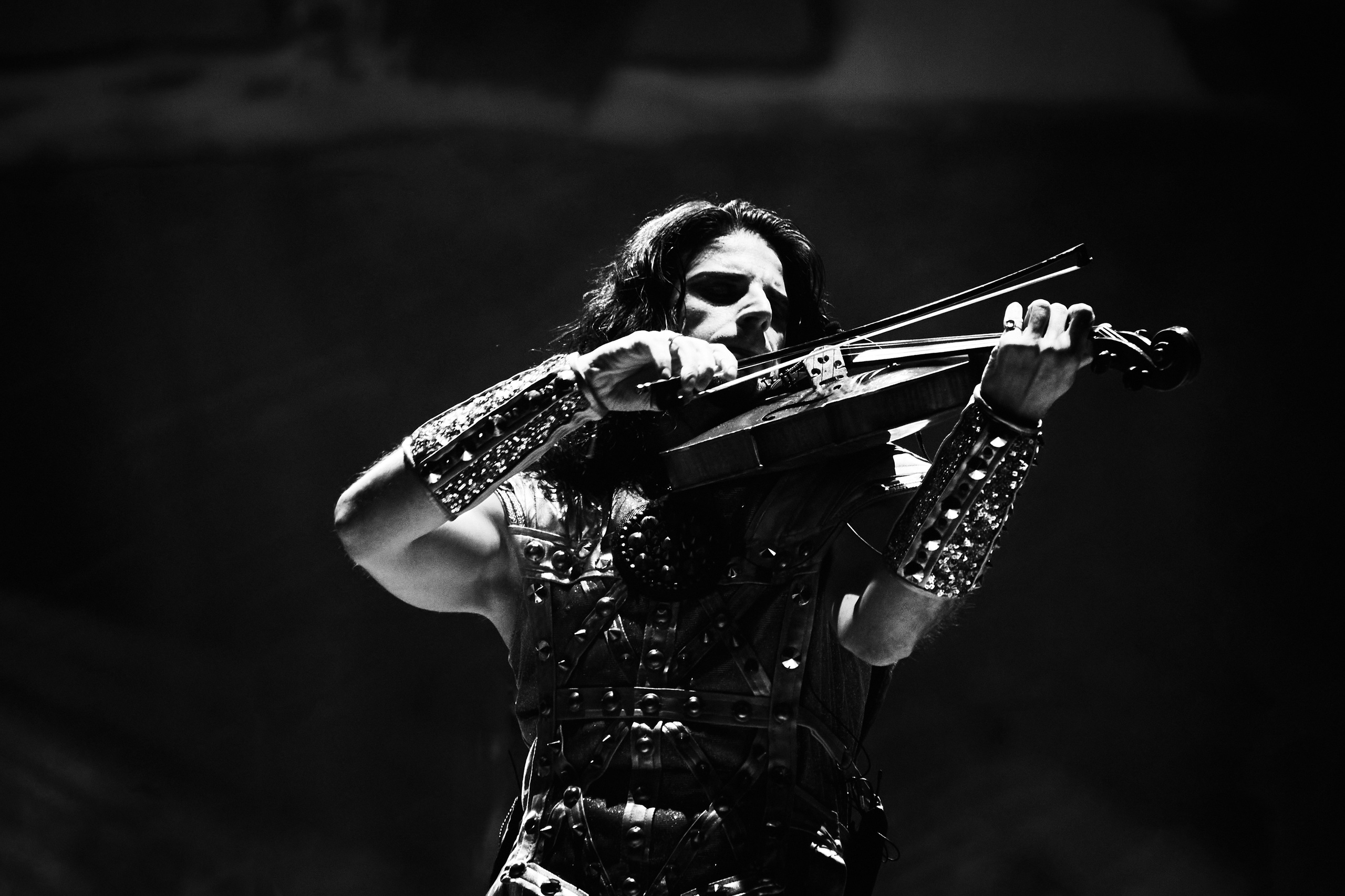 Concord orceatra. Фотограф