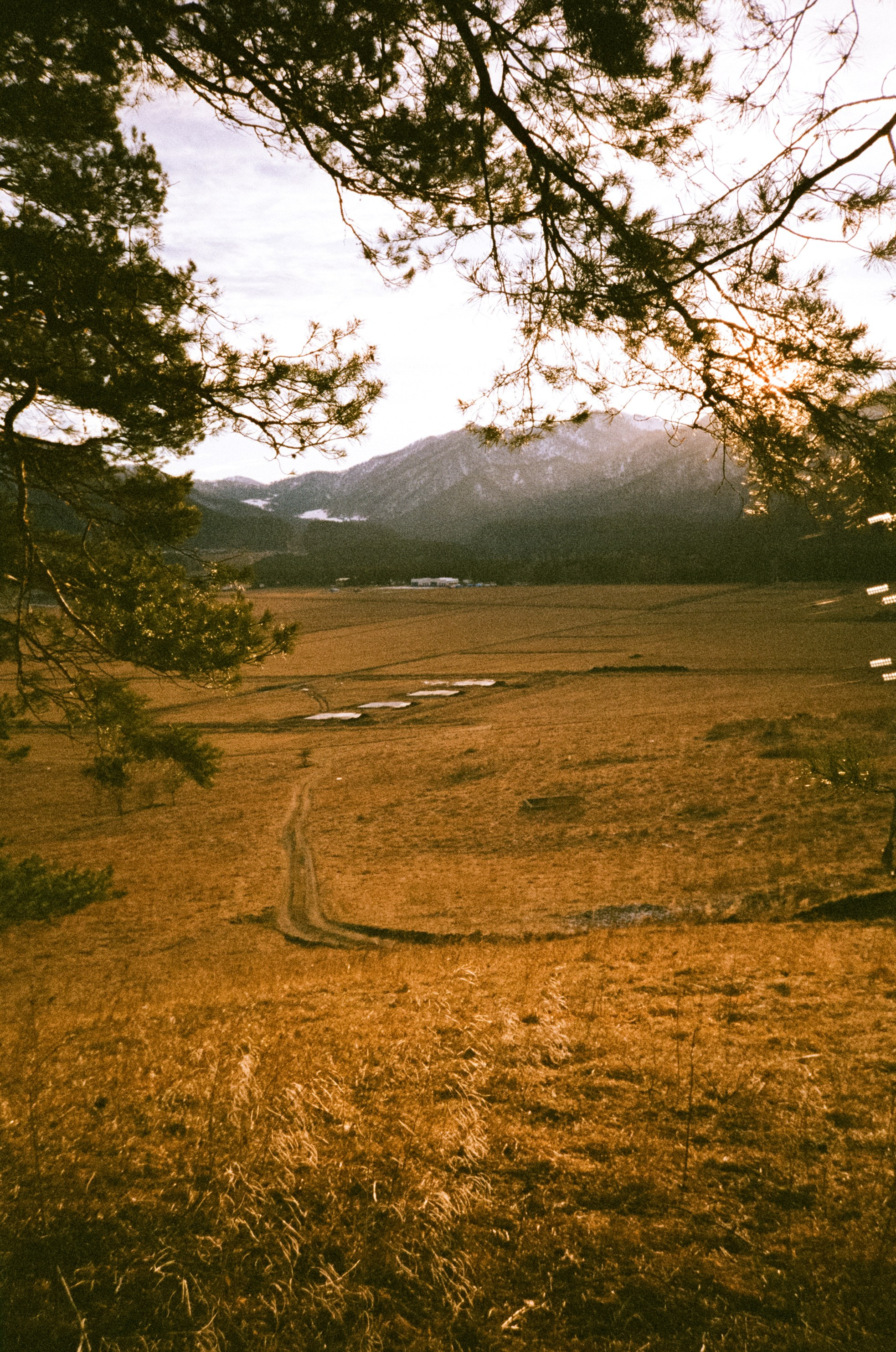 Поле у вертолетной площадки в день зимнего солнцестояния / 22 декабря