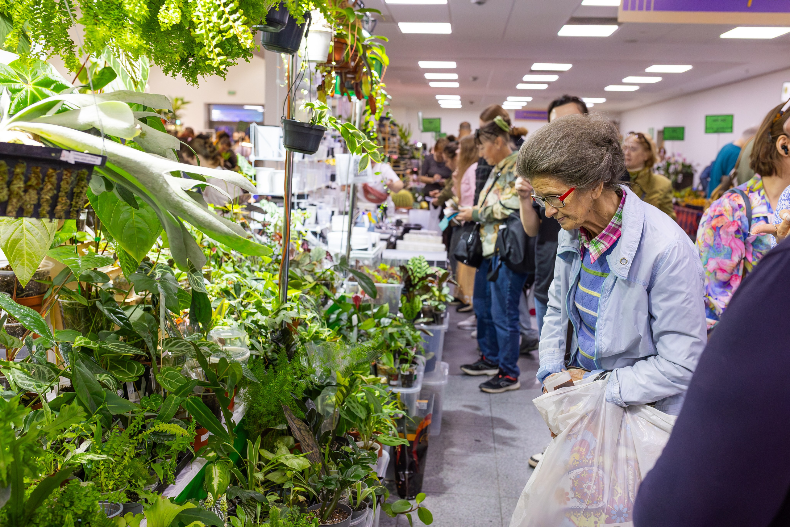 Орхидиум сентябрь 2025. Александра Куликова фотограф, Москва