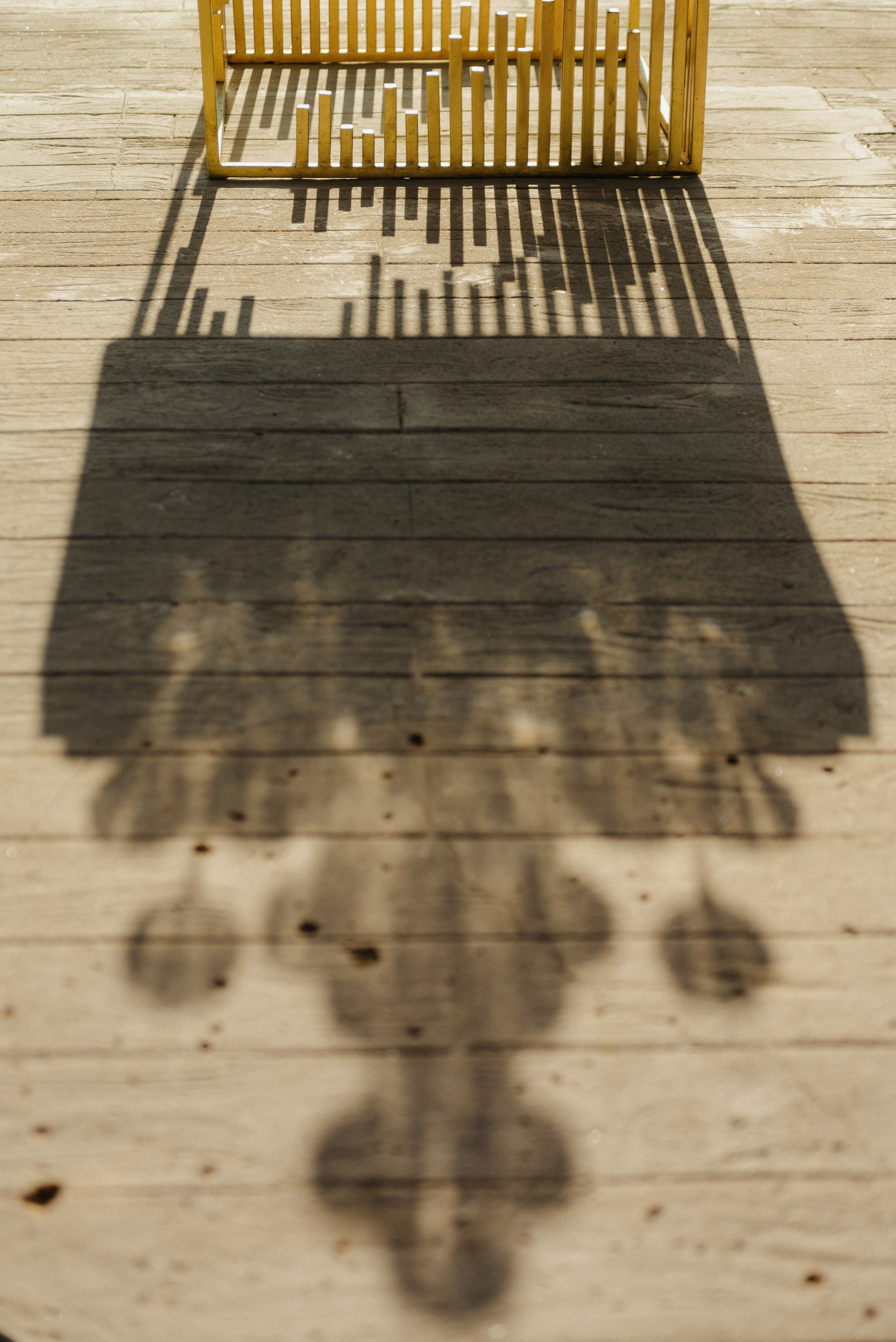 Люблю вас очень пупсики, счастья. Фотограф в Санкт-Петербурге Евгений Перевалов