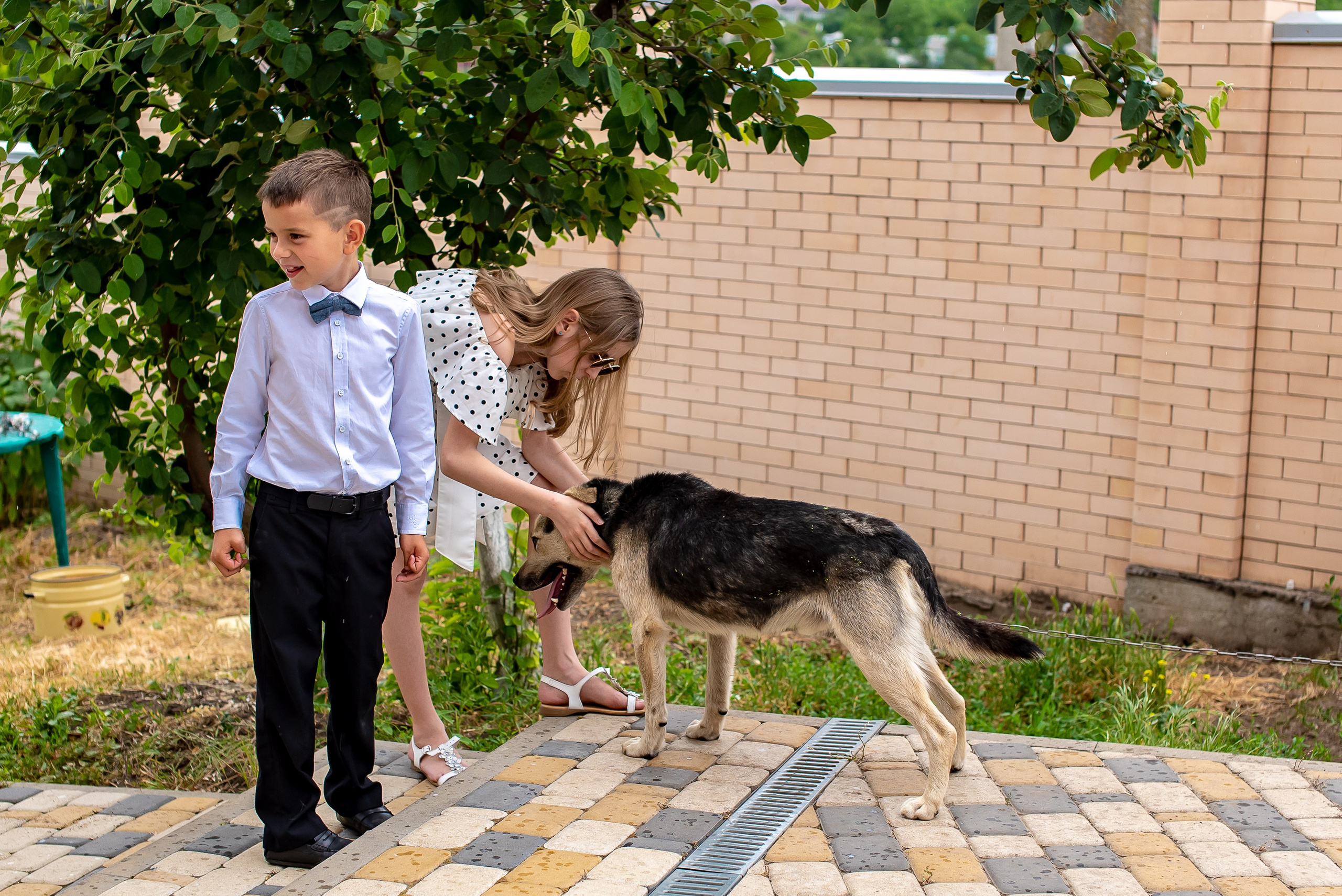 Милое торжество. Максим Матвийченко и Виктория Басова профессионалы своего дела