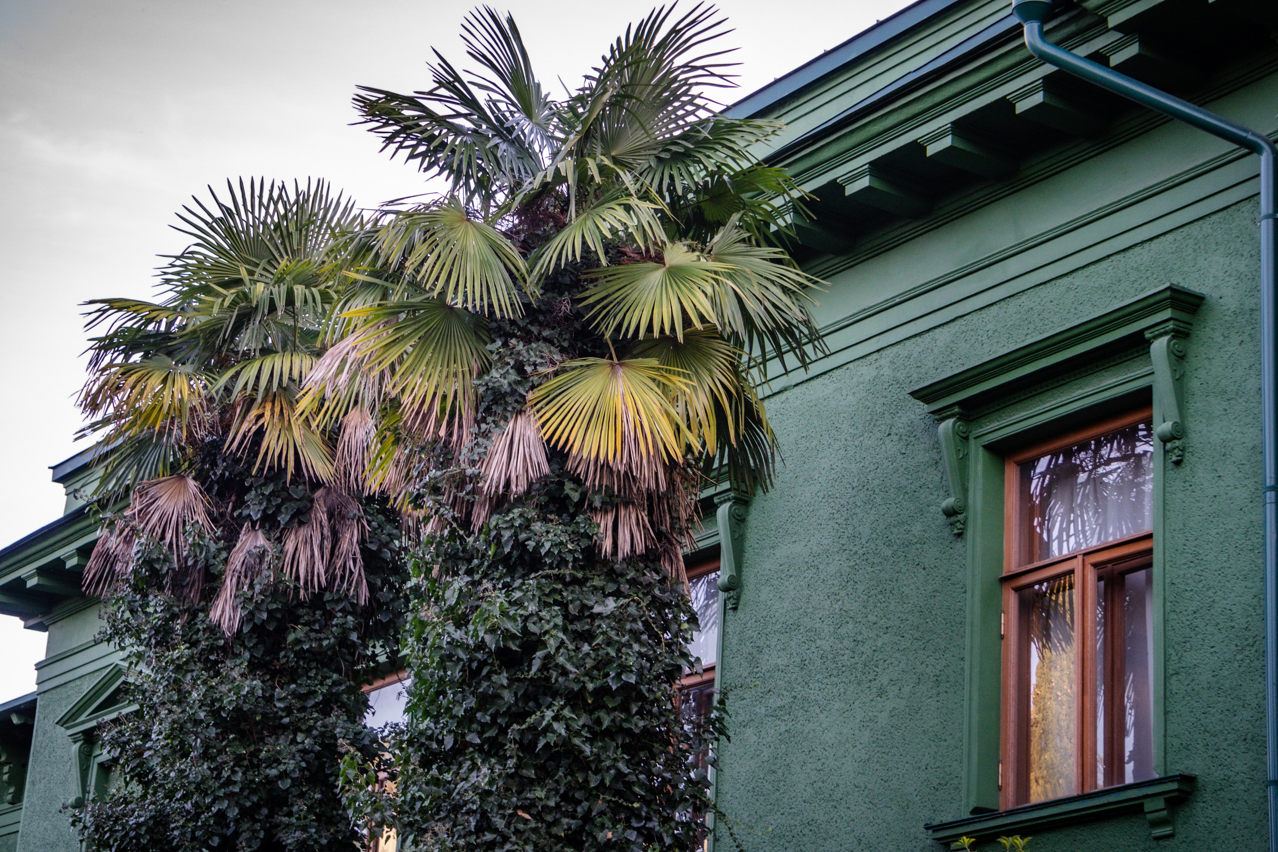 Дача Сталина в Сочи. Yaratezza production