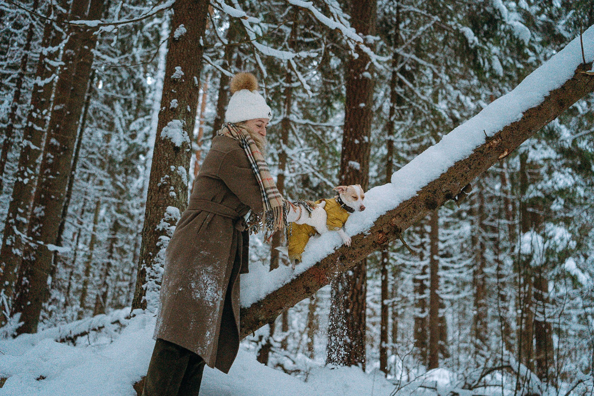 Алина, Ваниль и Элис. Фотограф анималист в Москве и Санкт-Петербурге Свиридова Анна