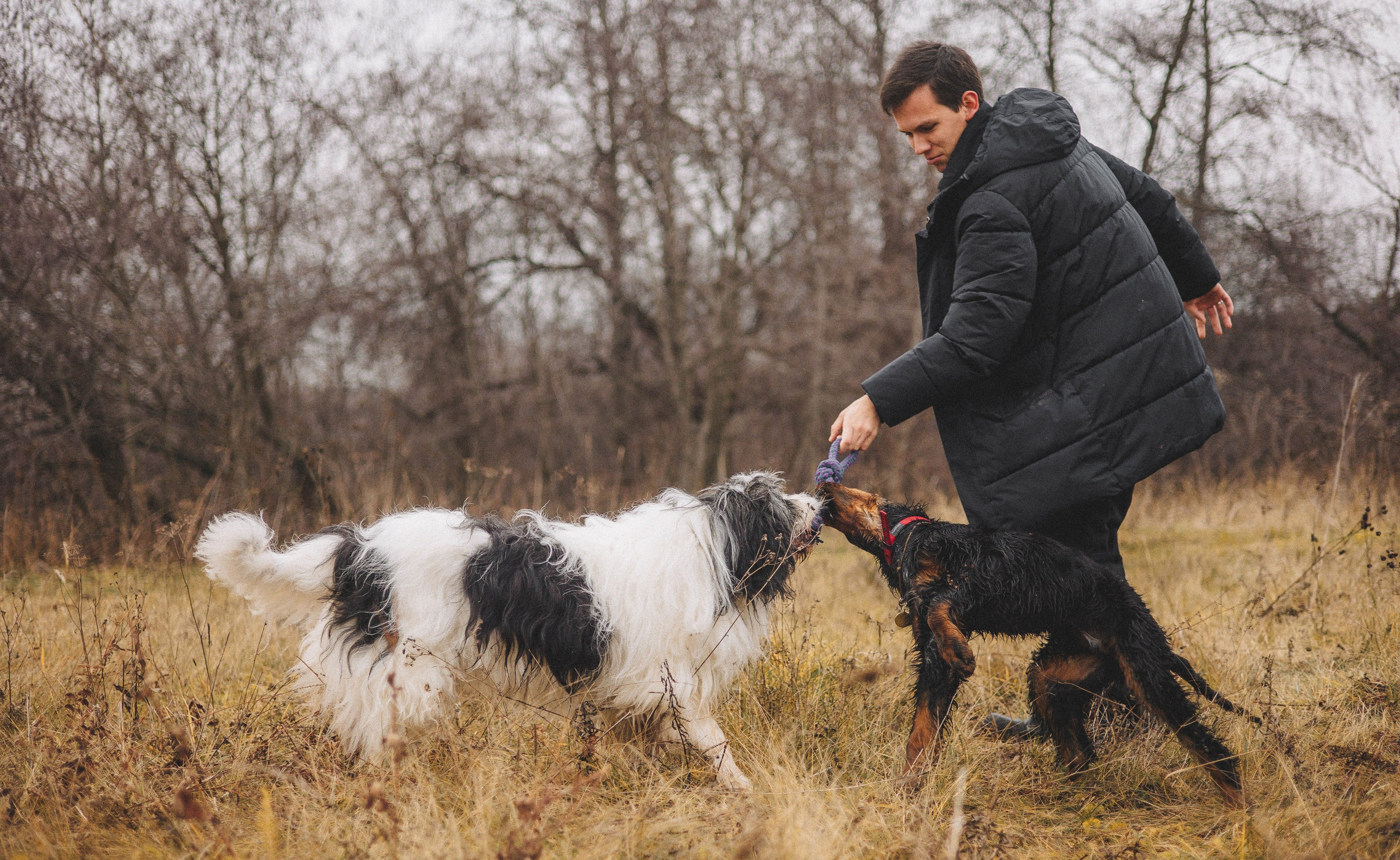 Даша, Глеб, Барс и Бруно. Фотограф-анималист Богданова Полина