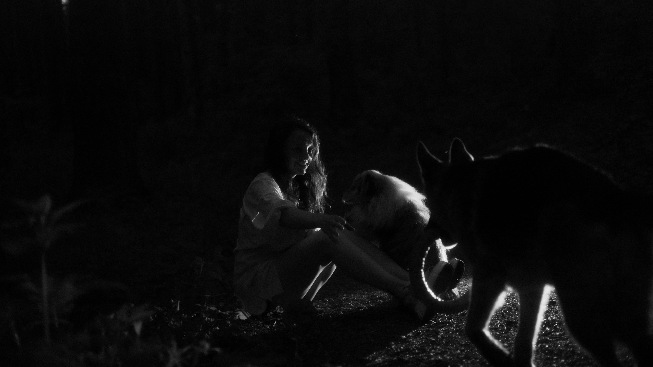 Настя, Шуня, Милка и Тигуан. Фотограф-анималист Богданова Полина