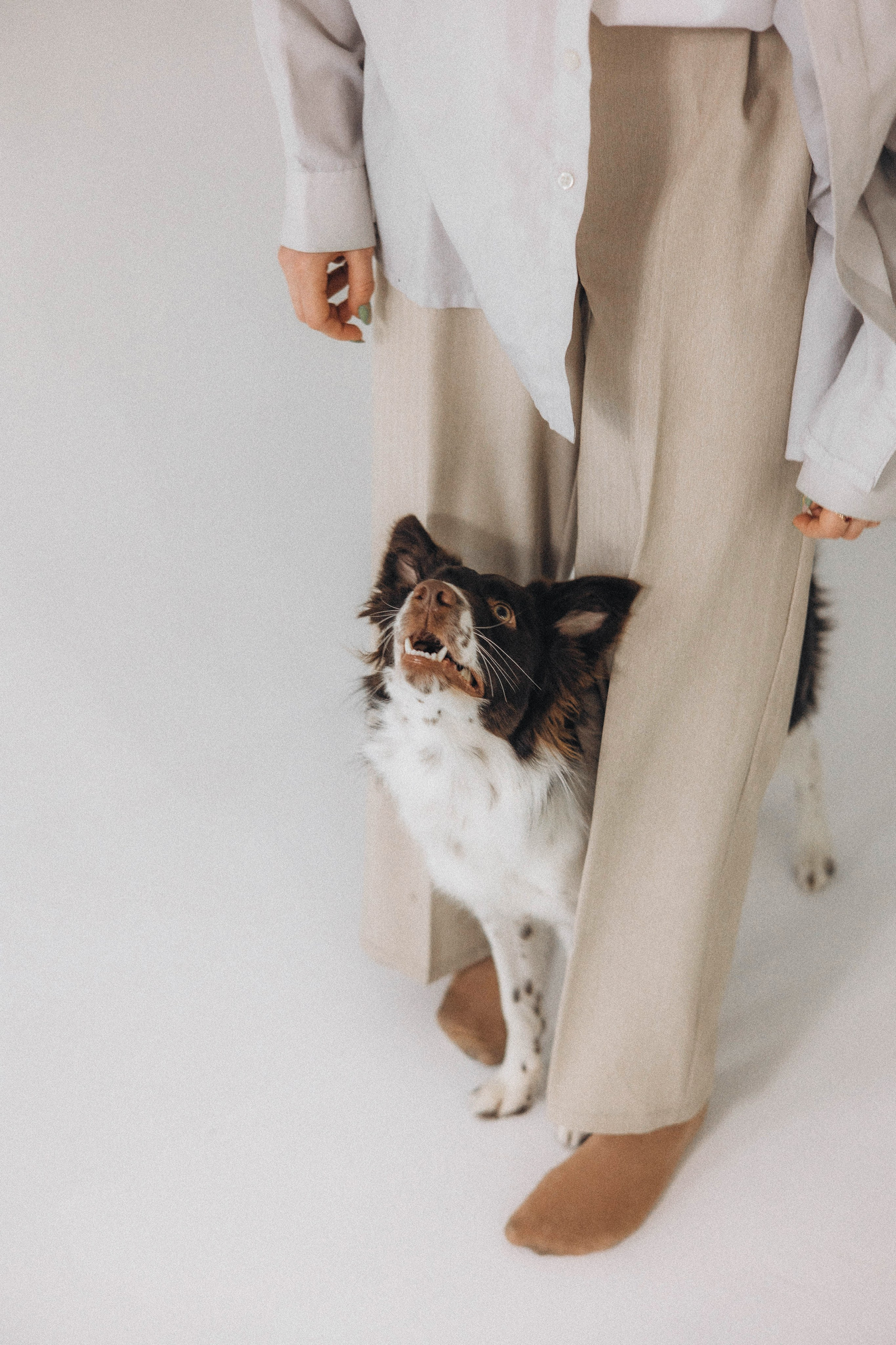 Алена и Гвендолин. Фотограф-анималист Богданова Полина