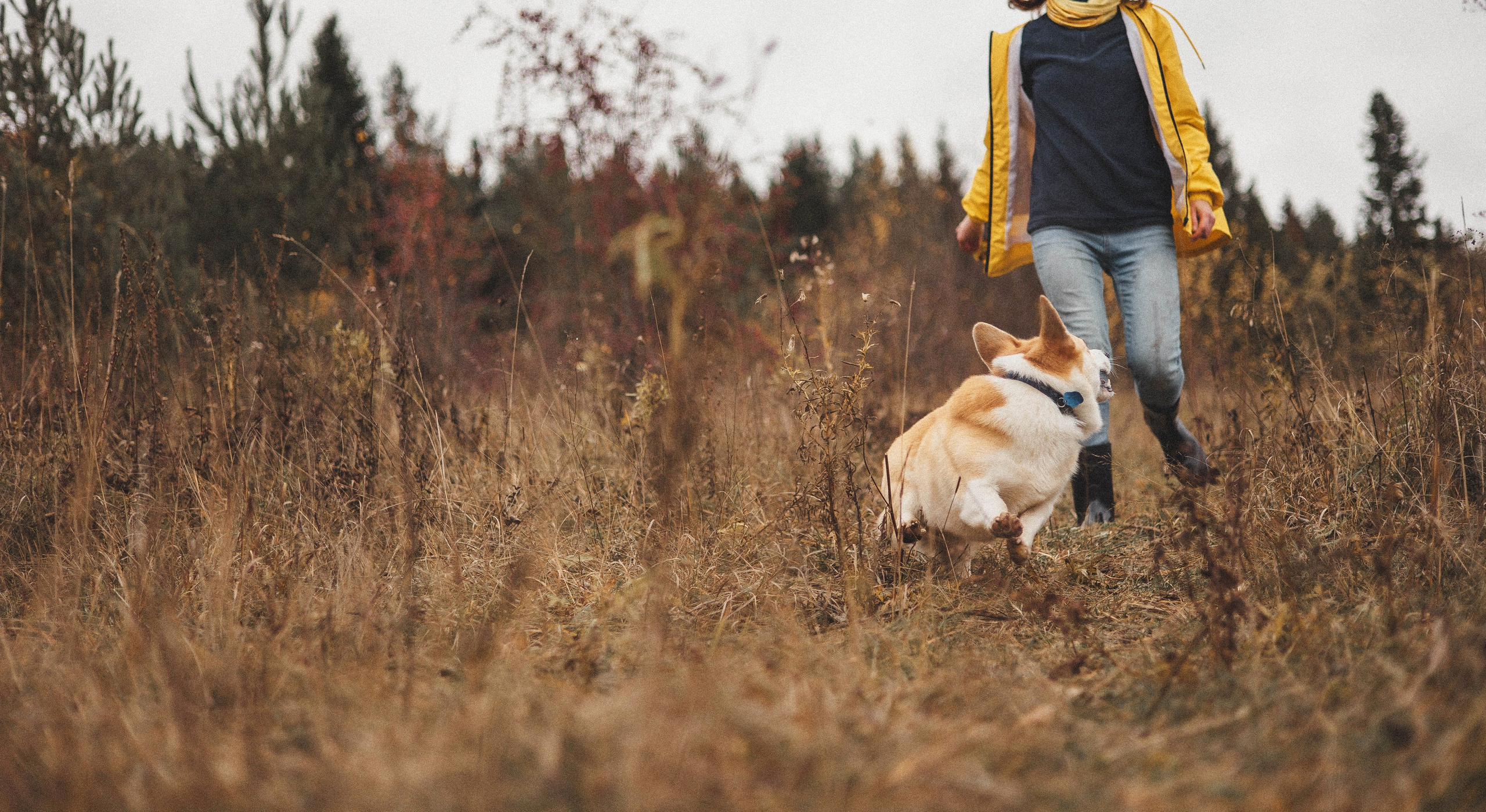 Юля и барри. Фотограф-анималист Богданова Полина