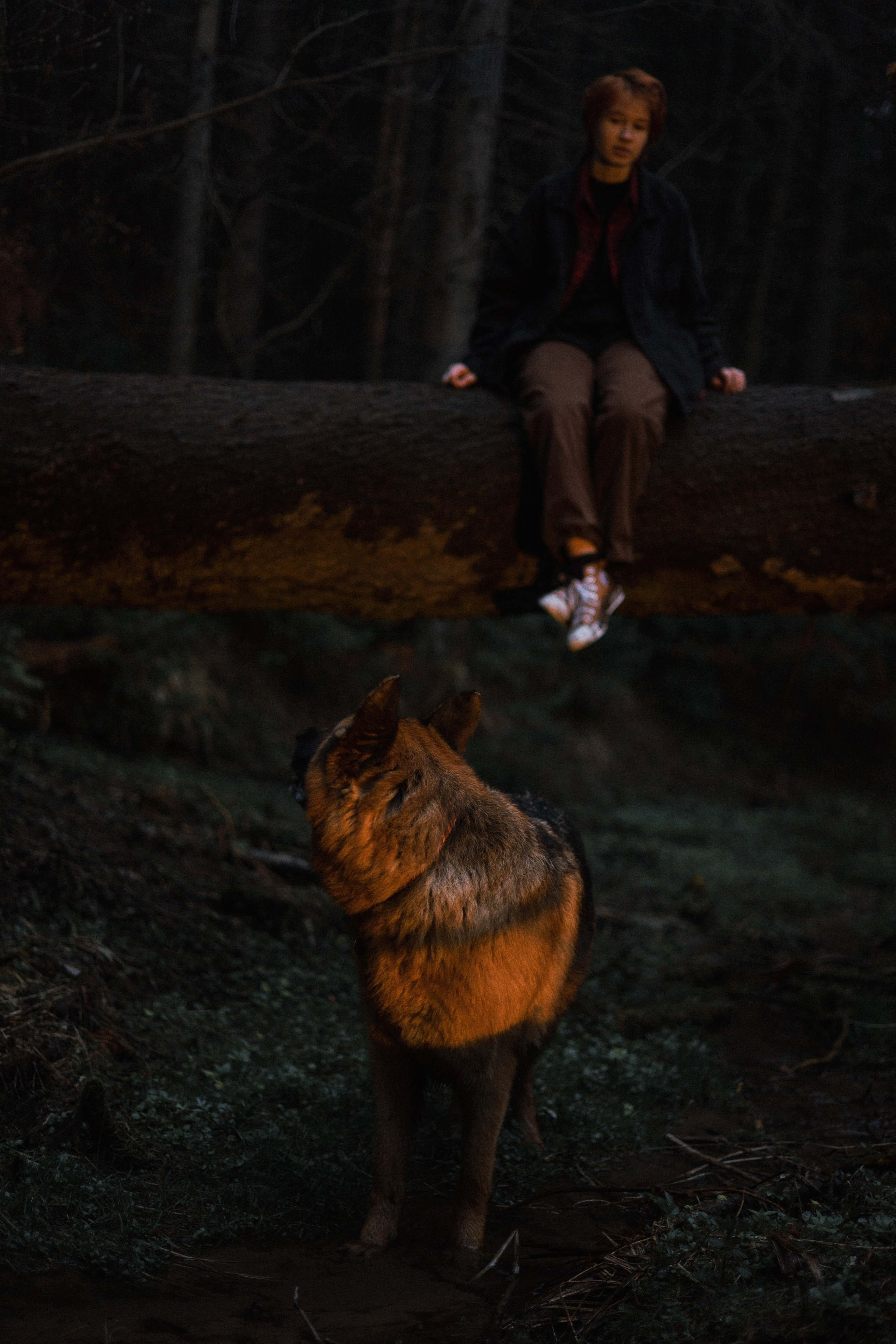 Лера и Ральф. Фотограф-анималист Богданова Полина