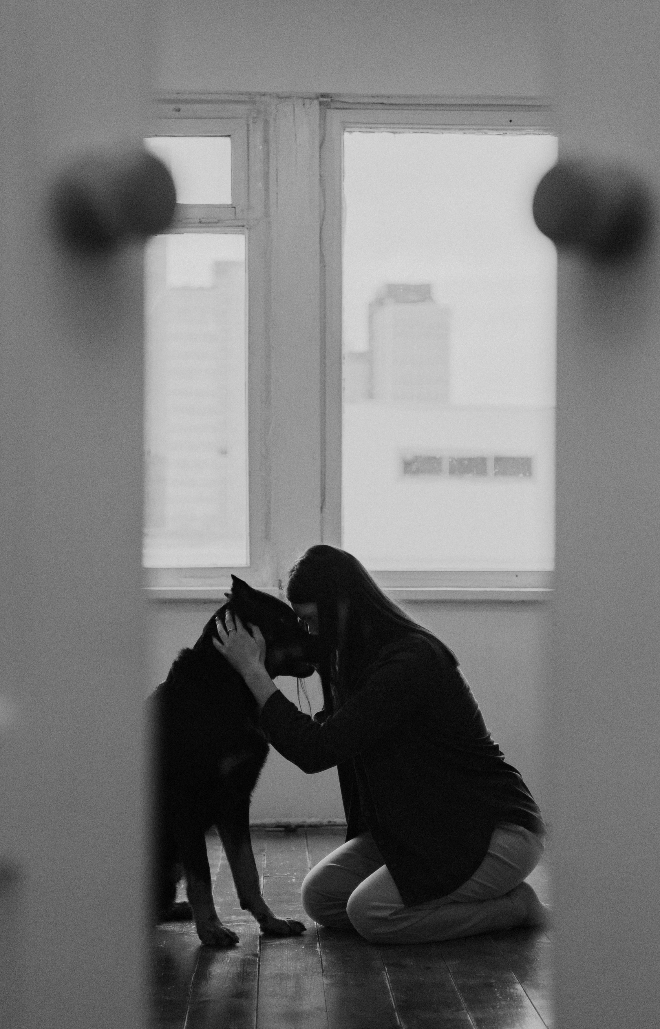 Полина и Зевс. Фотограф-анималист Богданова Полина