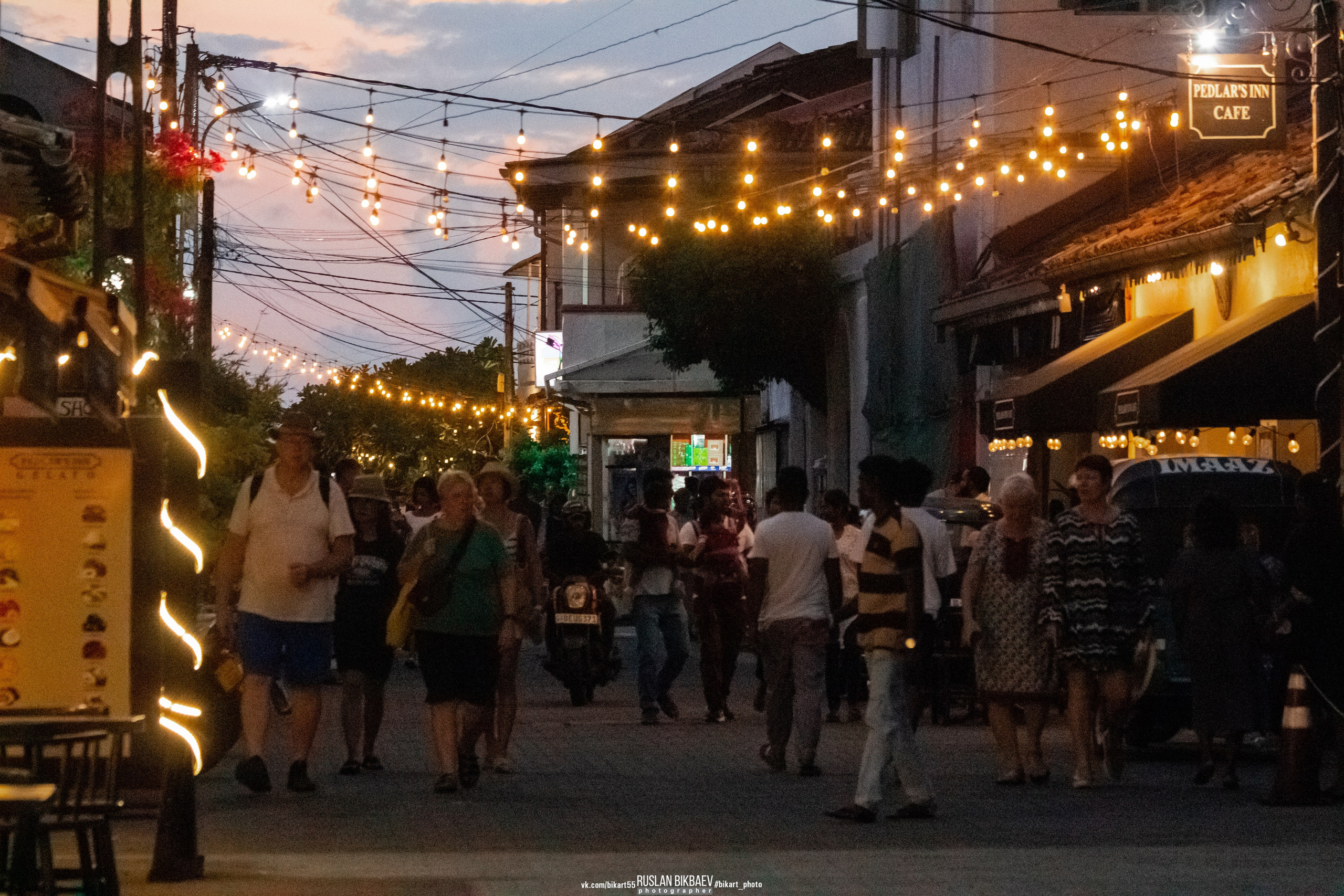 ШРИ-ЛАНКА 2025 / SRI LANKA 2025. Главная