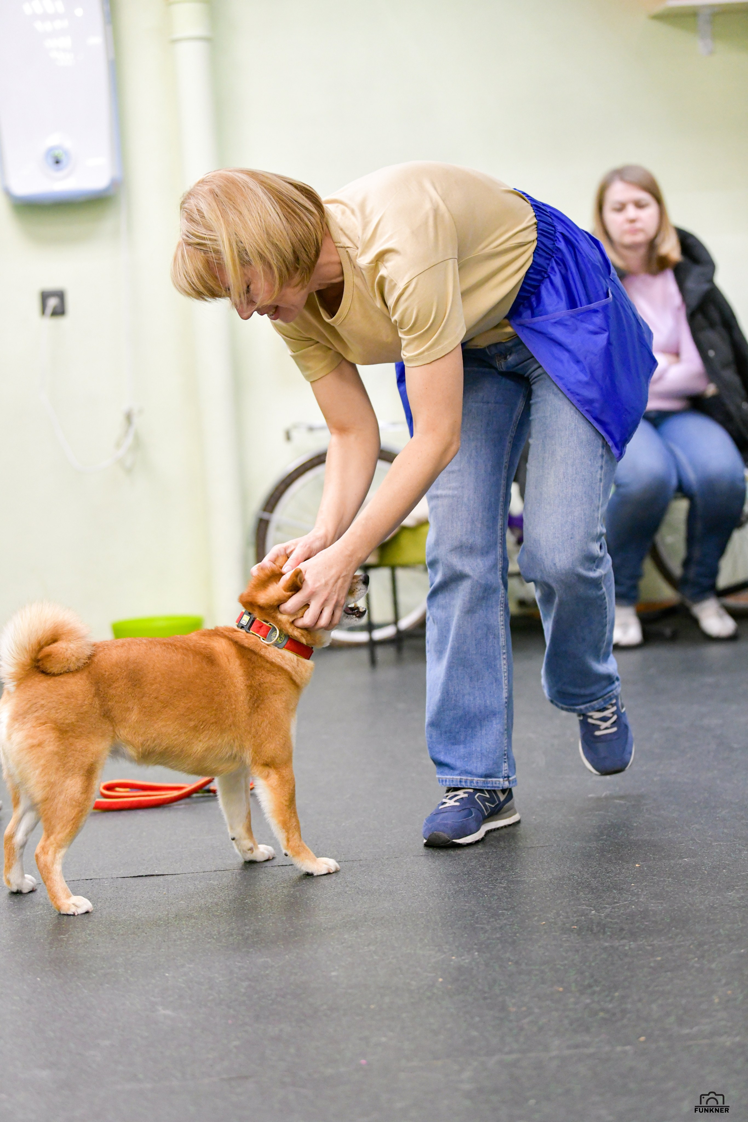 Кинологический клуб «Бодрый хвост». Свой взгляд через объектив