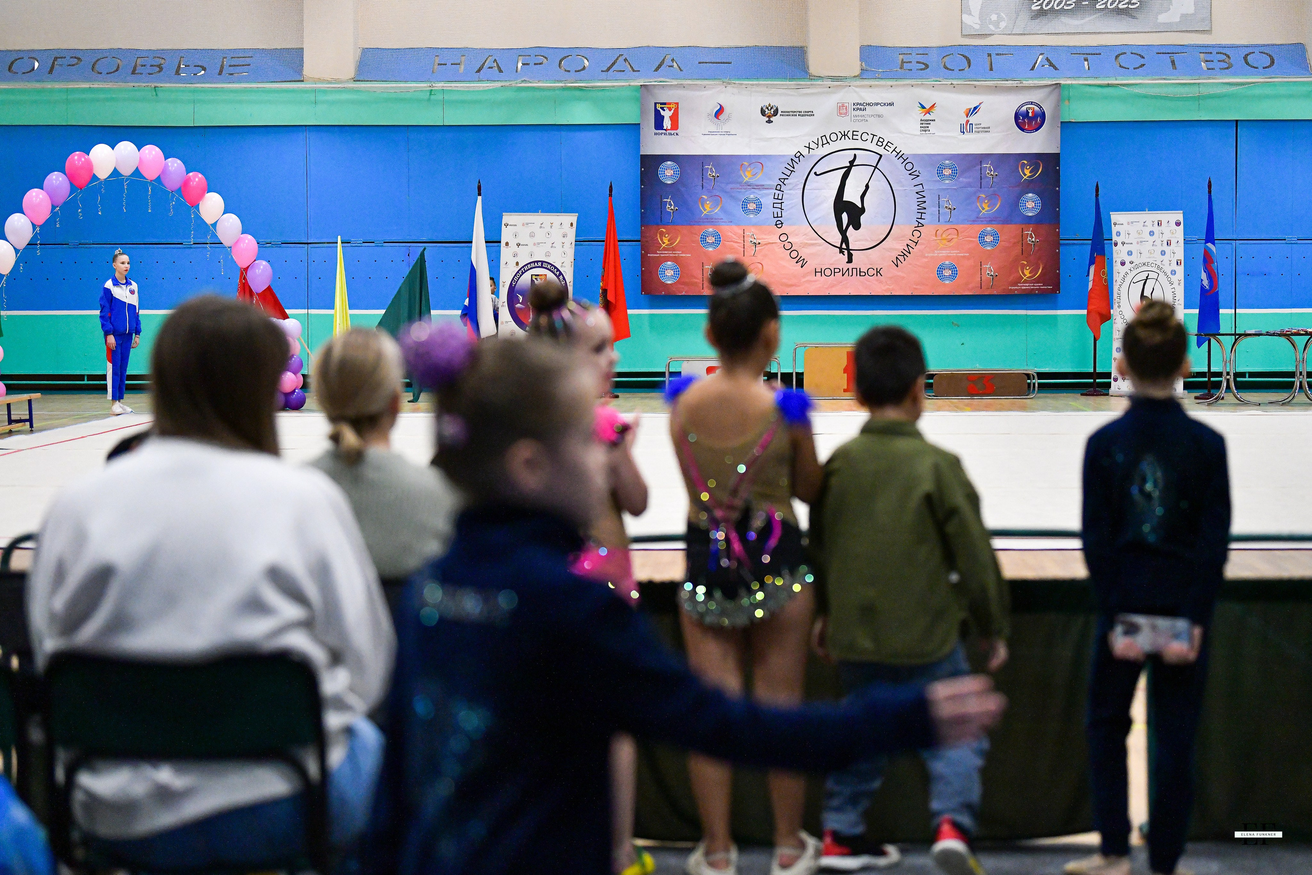 Фестиваль гимнастики «Северная грация» 02.11.2024. Свой взгляд через объектив