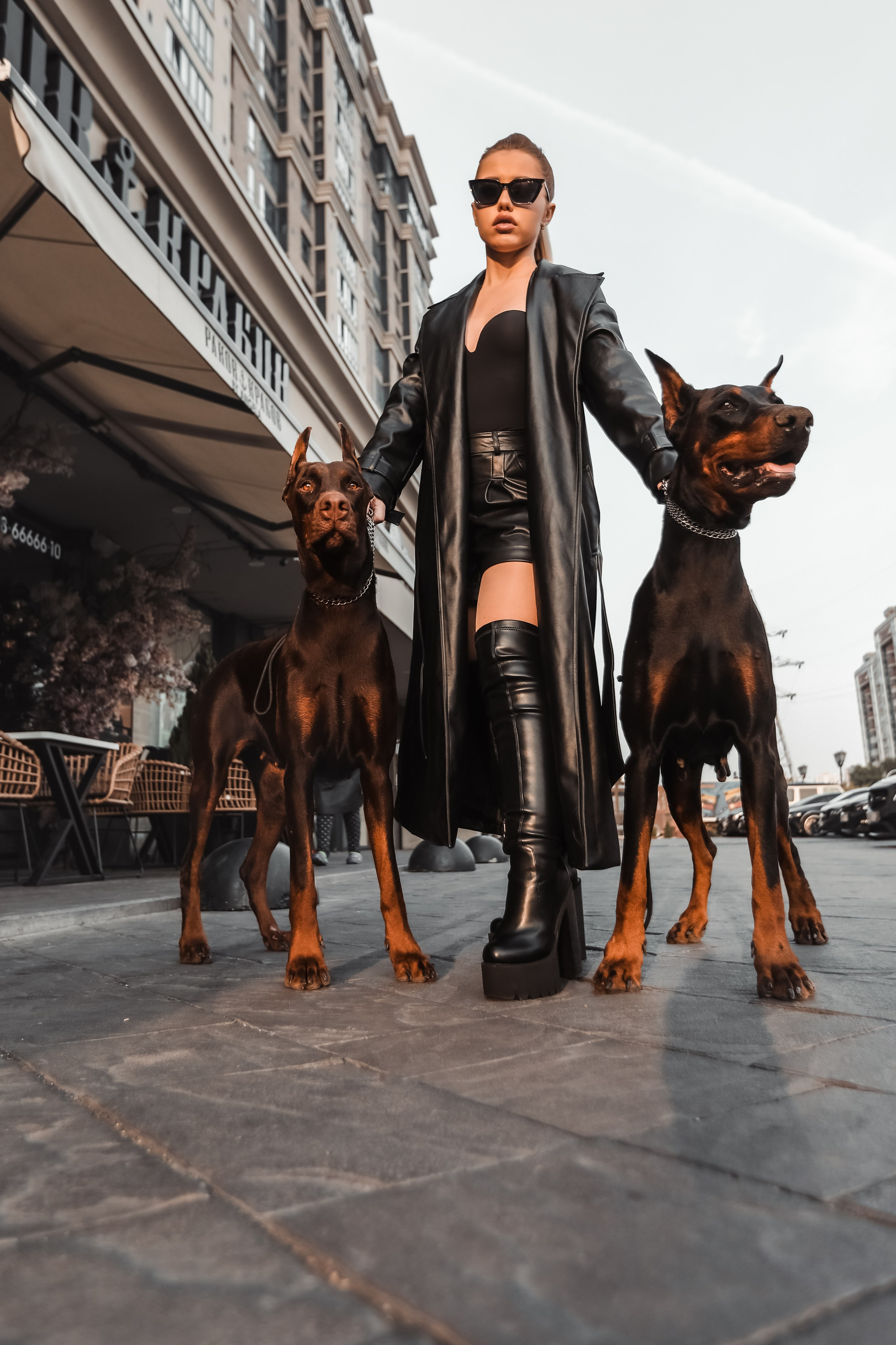 ПРОЕКТ «ДОБЕРМАНЫ». Photographer Viktoriya Markushina «My world throug»