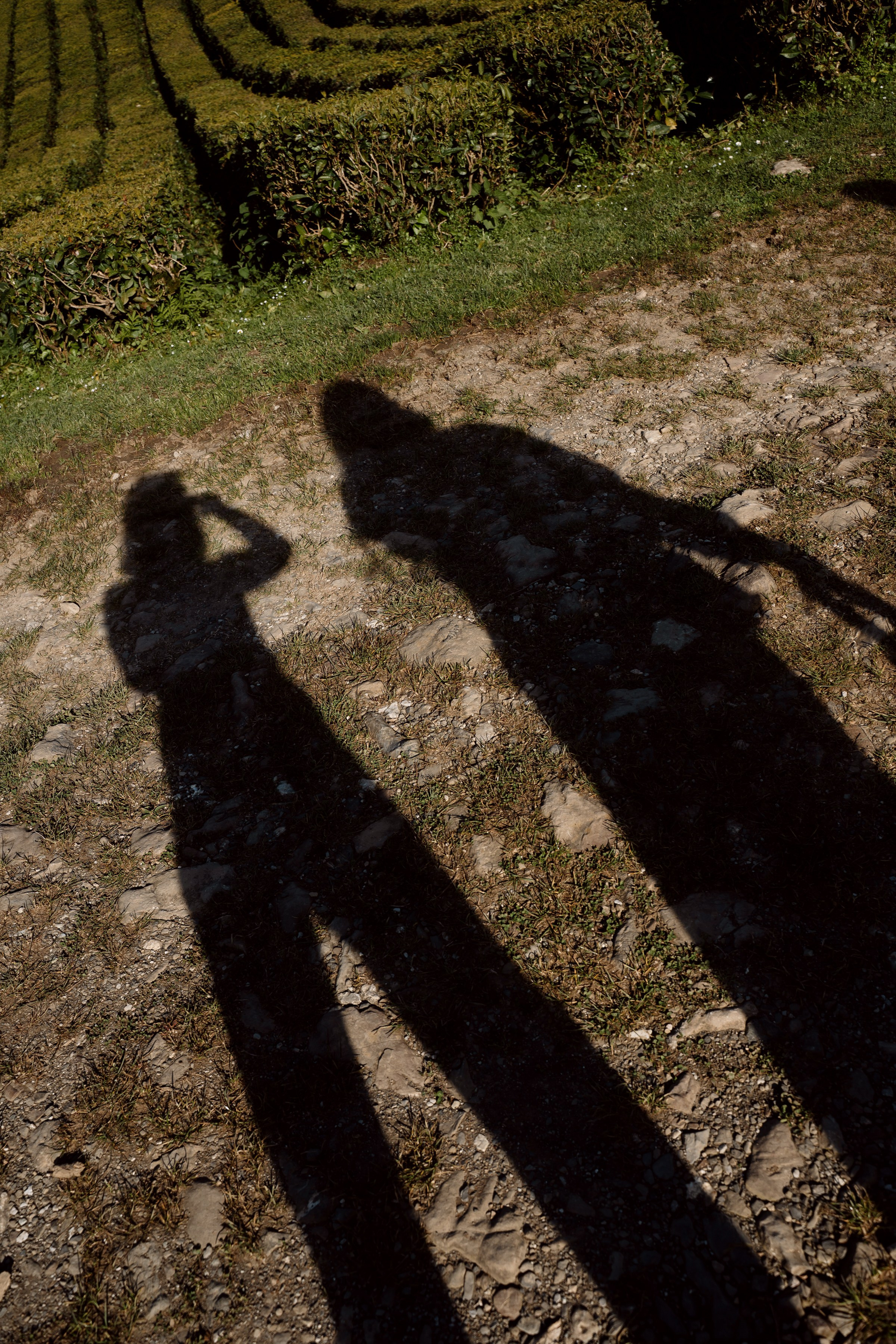 Гендер Пати. Фотограф в сочи Свадебный фотограф Сочи