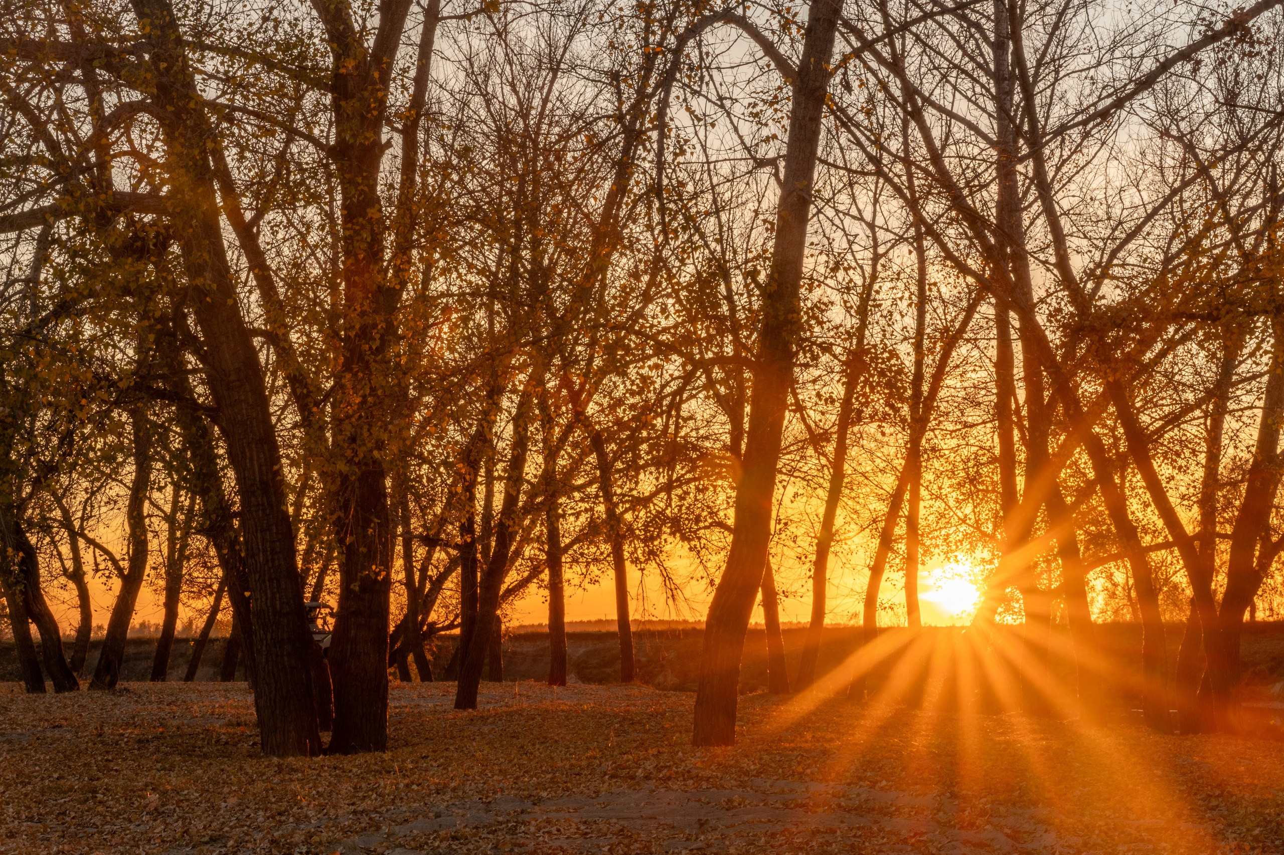 Курганская область. Daria wanderer photography