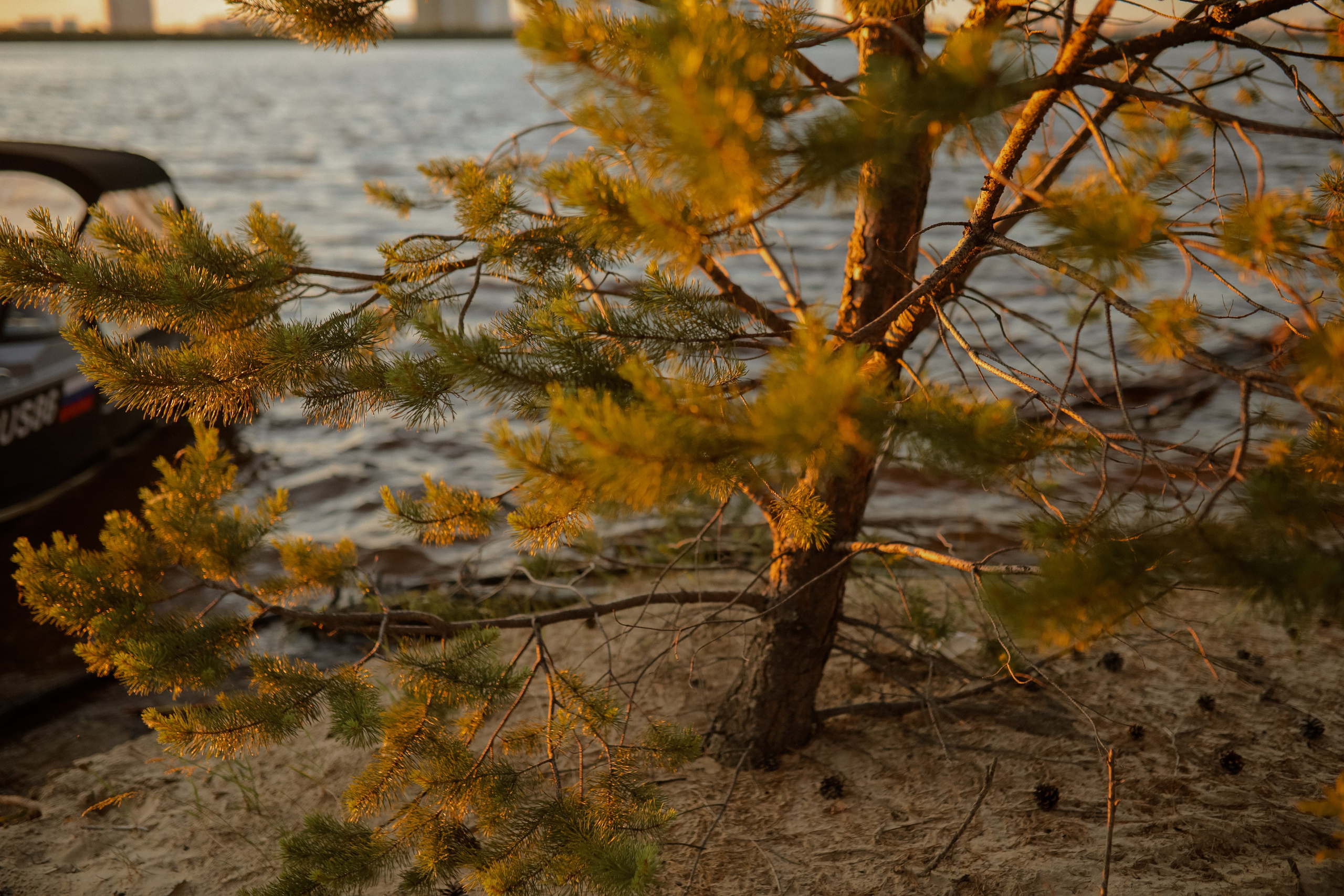 Екатерина. Свадебные фотографы в г. Сургут Маркова Наталья и Замахина Елена