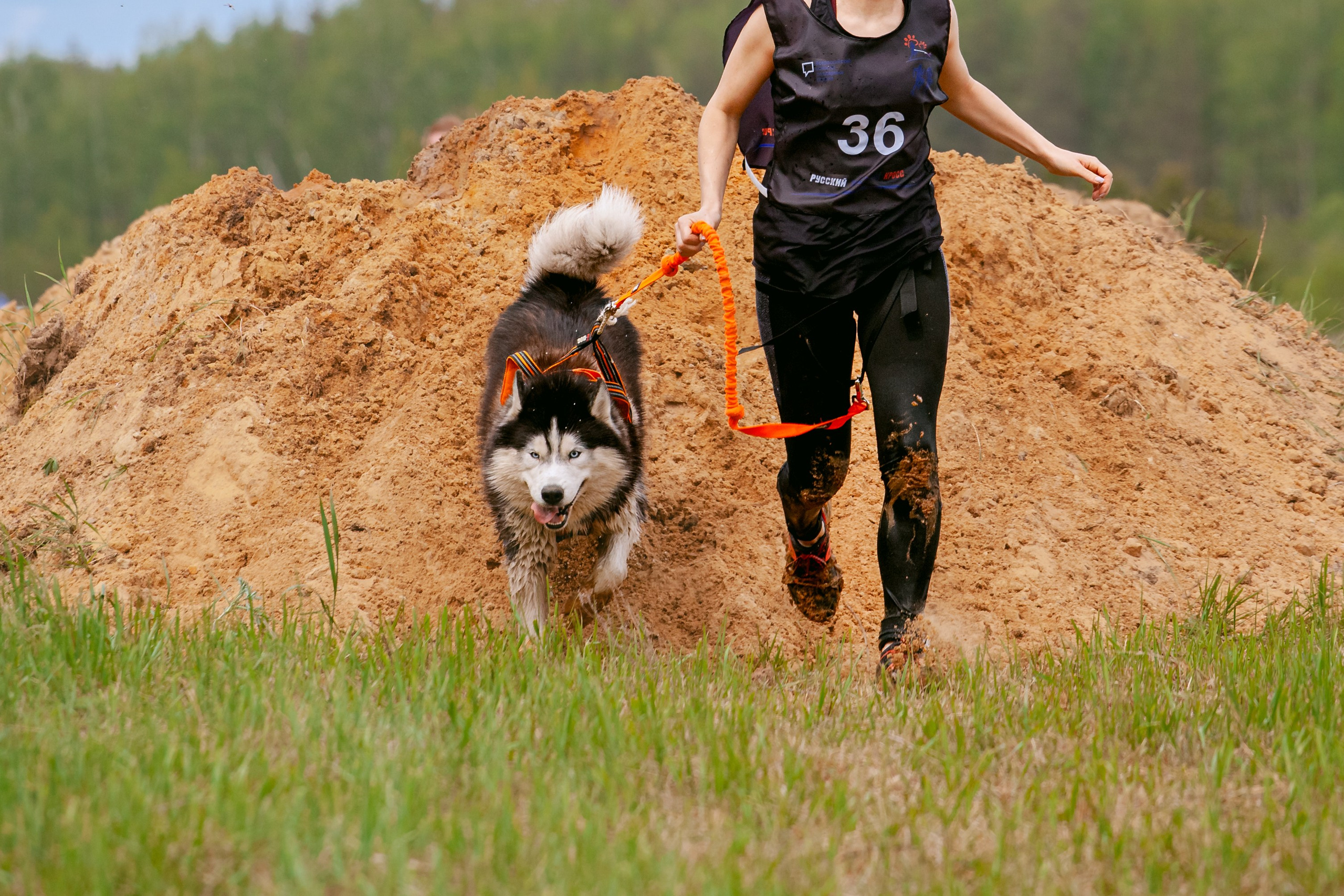 Русский экстрим кросс в Рязанской области 17.05.2025. Фотограф-анималист Татьяна Степанова