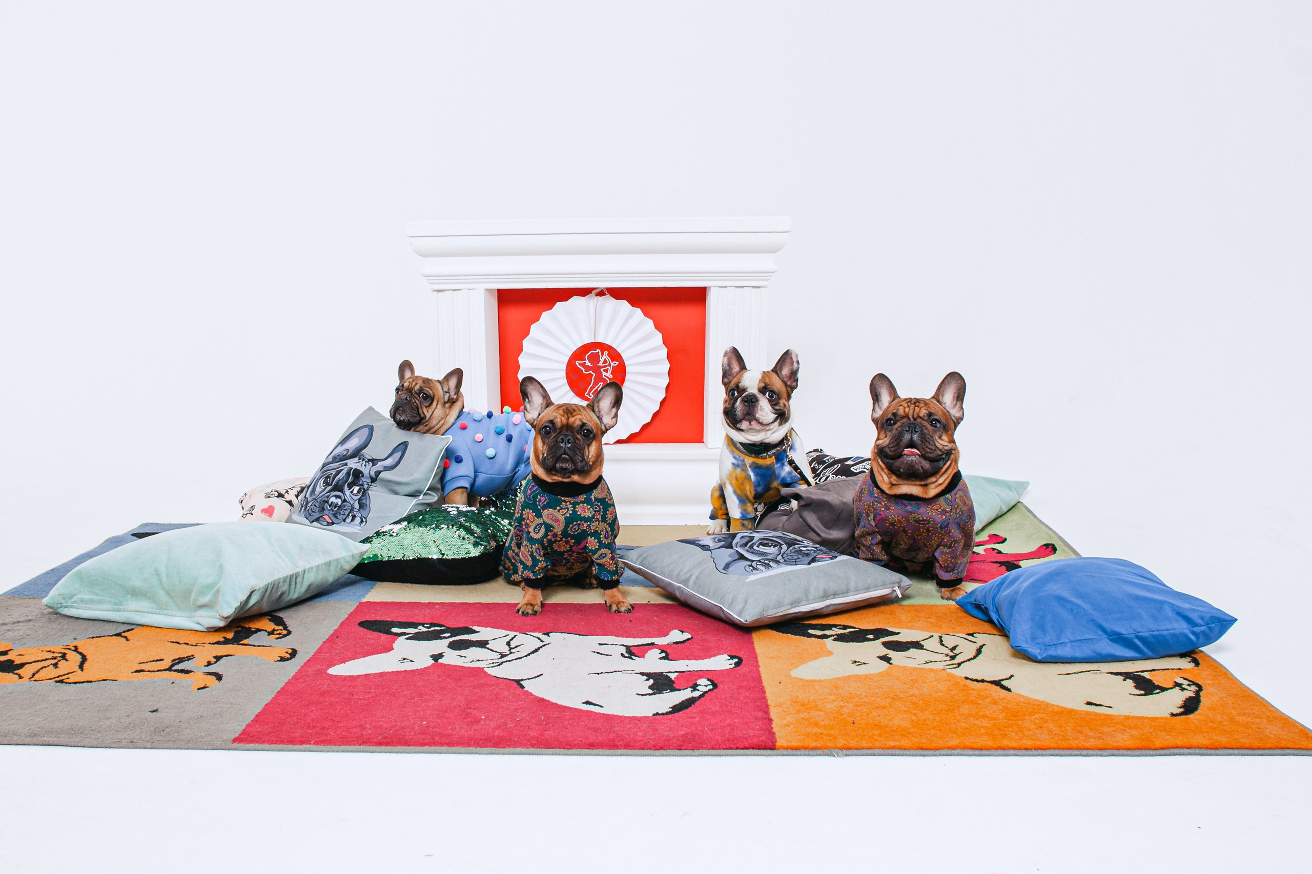Пижамная вечеринка французских бульдогов и их хозяев. Фотограф-анималист Татьяна Степанова