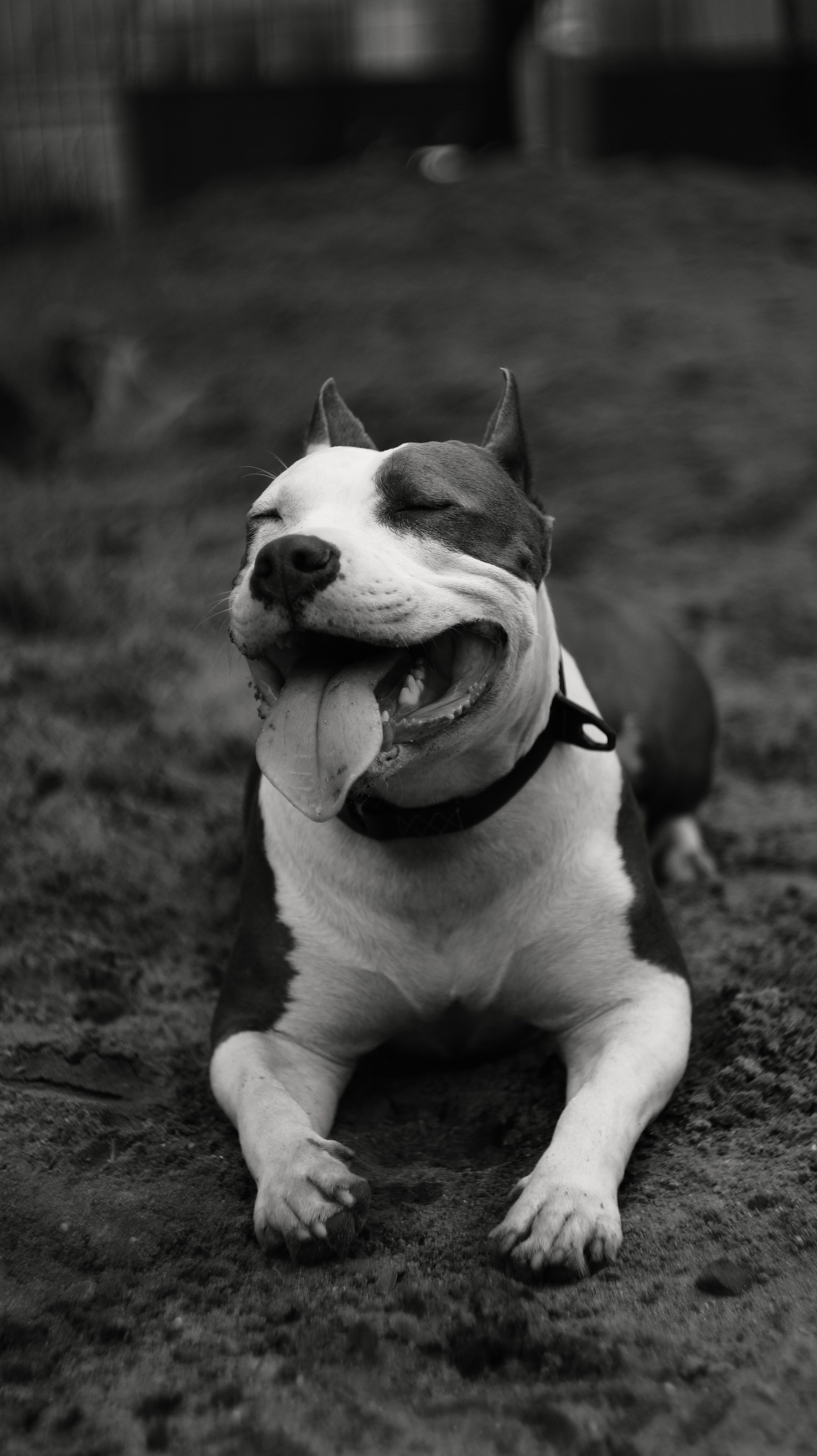 Профессиональный фотограф