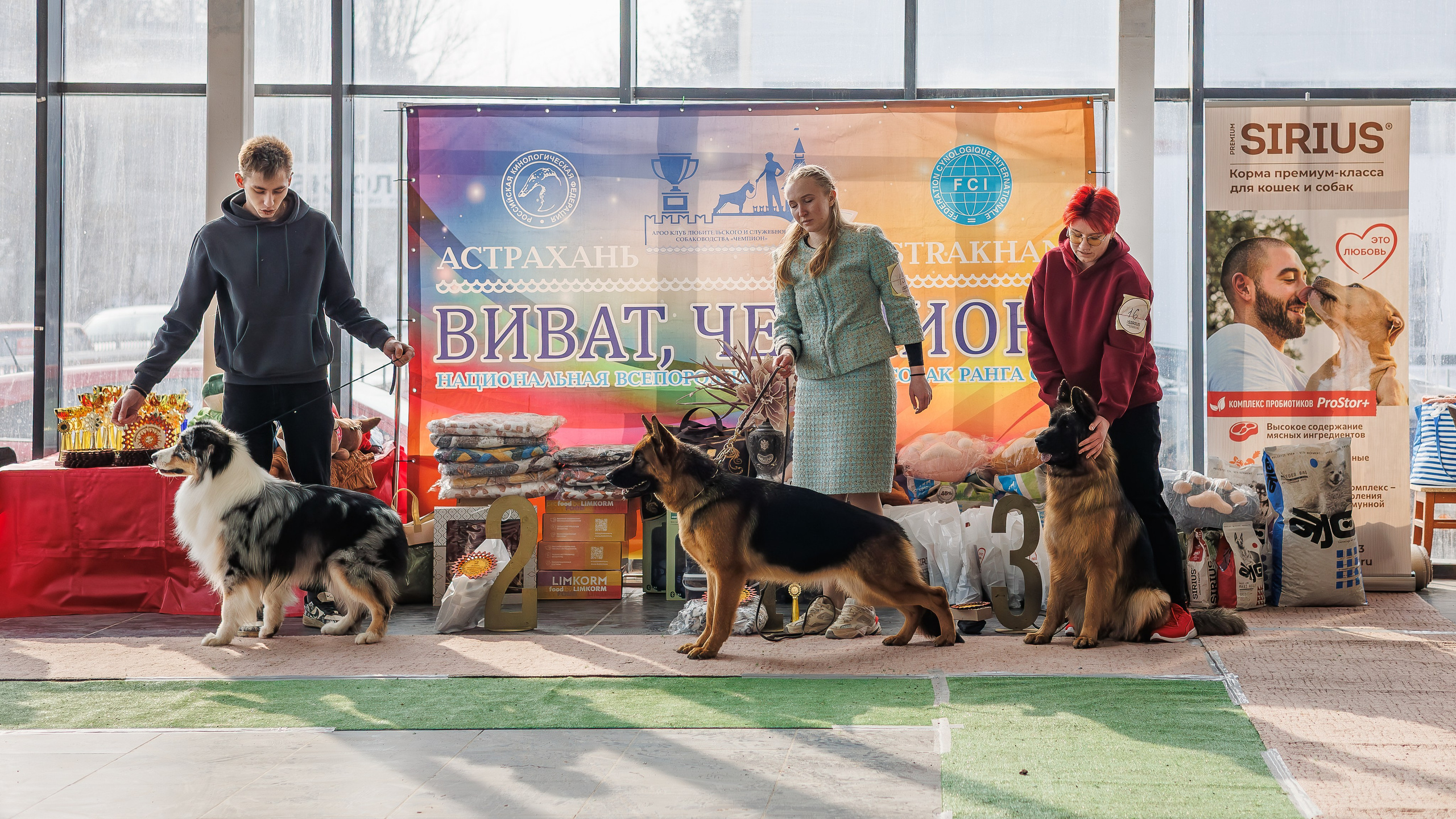 Выставки. Фотограф Марк Файзулин