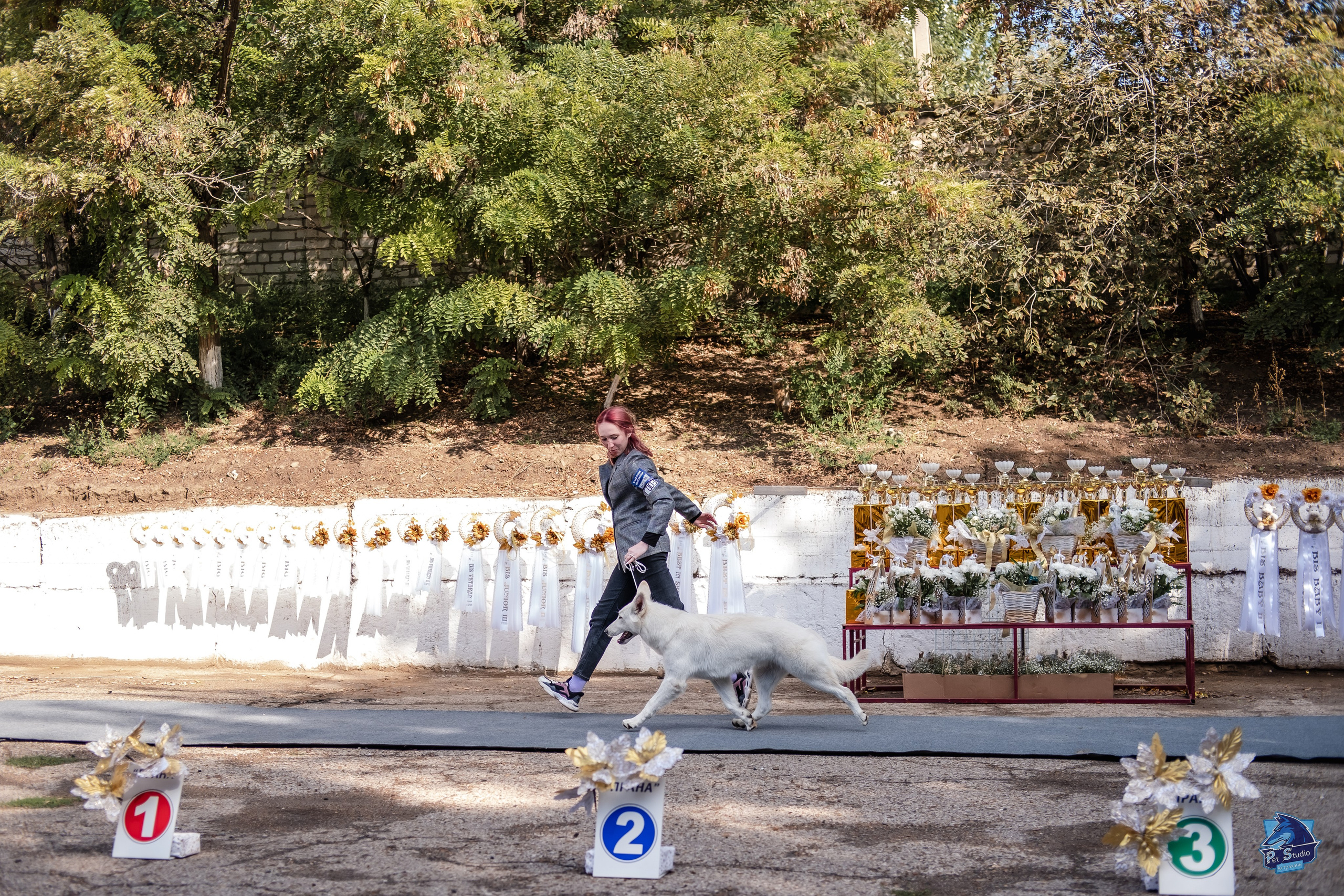 Выставки. Фотограф Марк Файзулин
