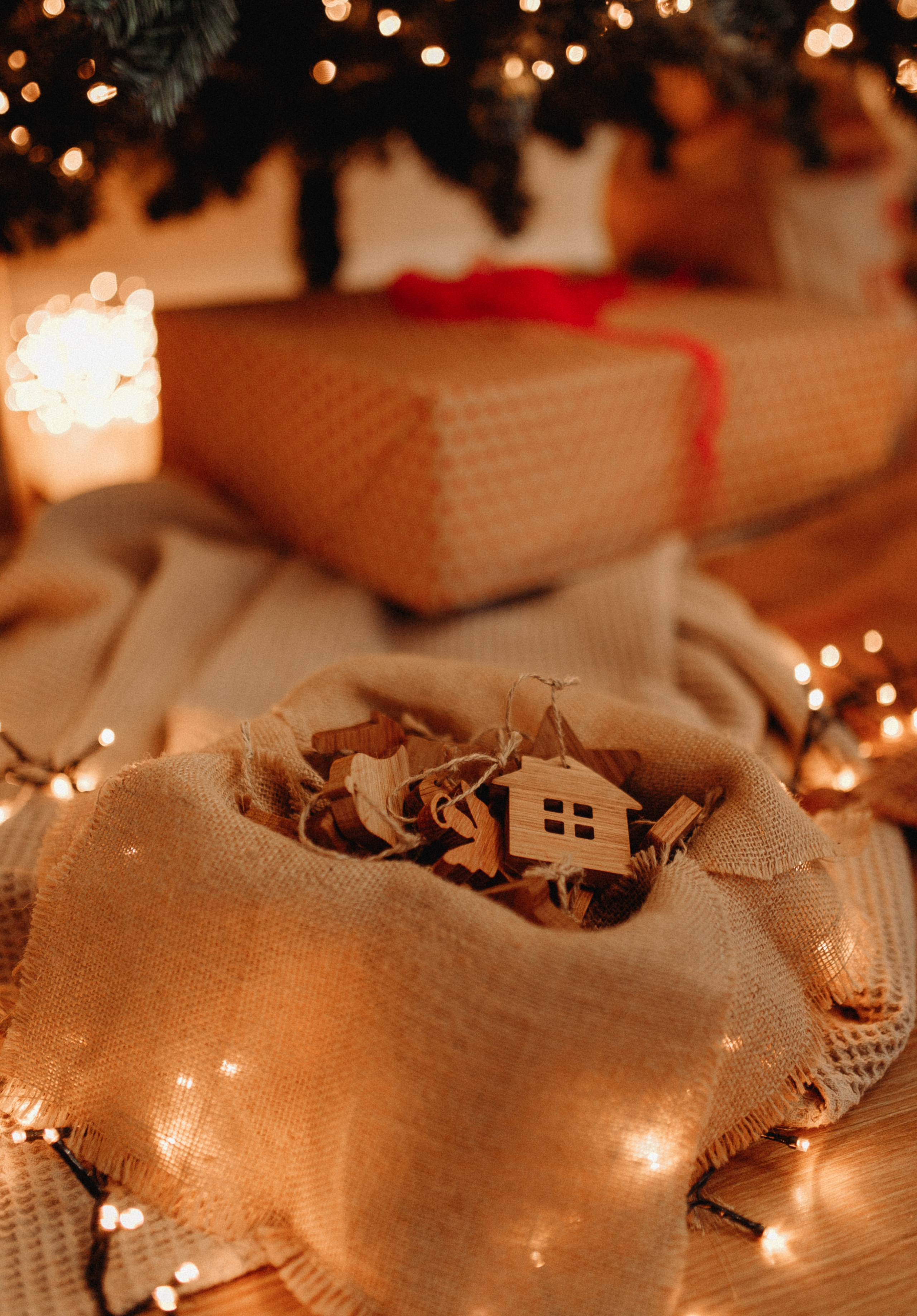 Домашняя семейная фотосессия. 