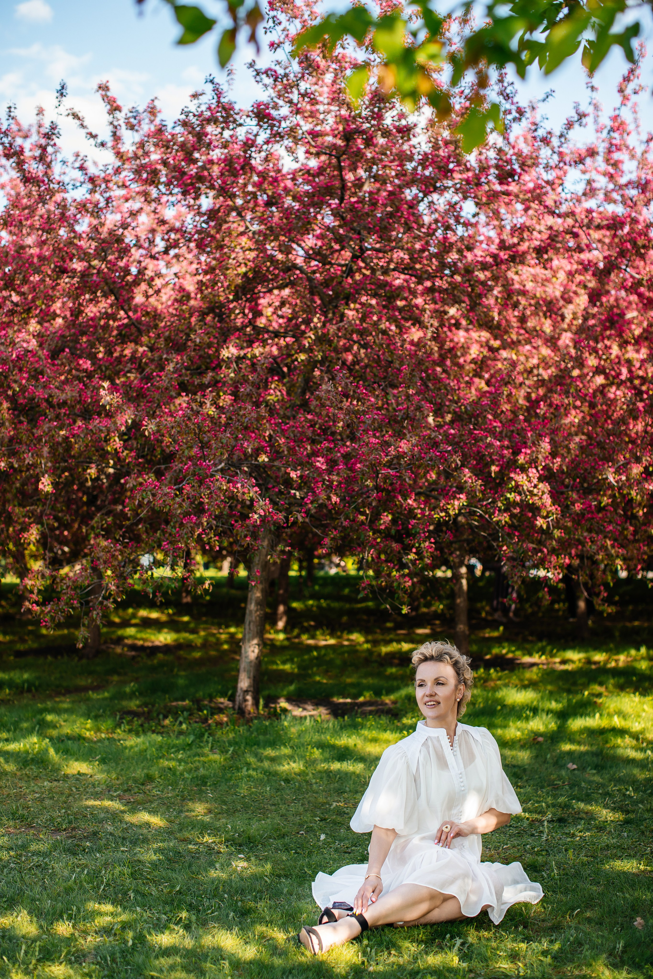 Цветение. Анастасия Давыдова