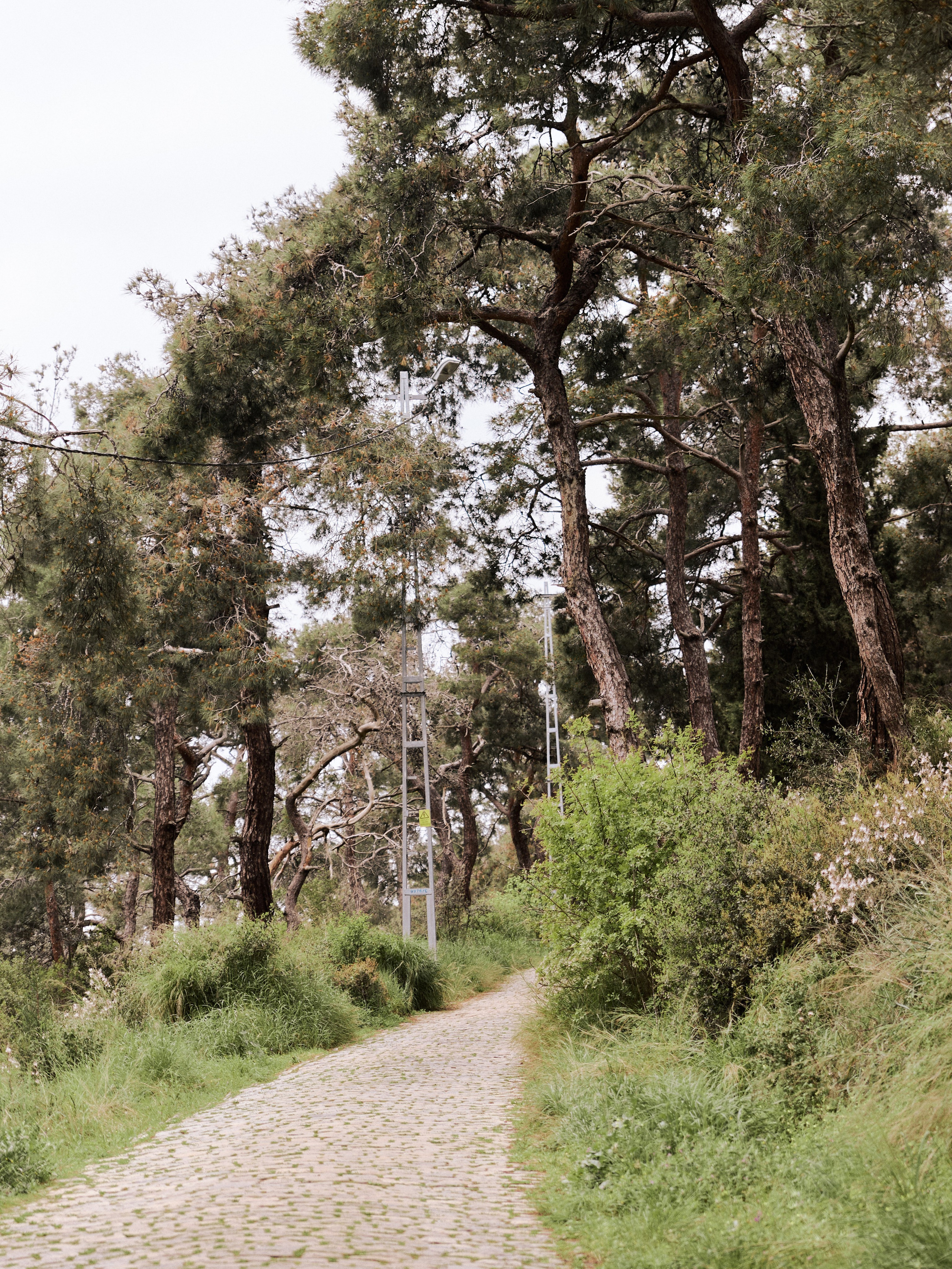 Улицы. Jorgis Talè — photographer, kind person, teacher of arts and other mag