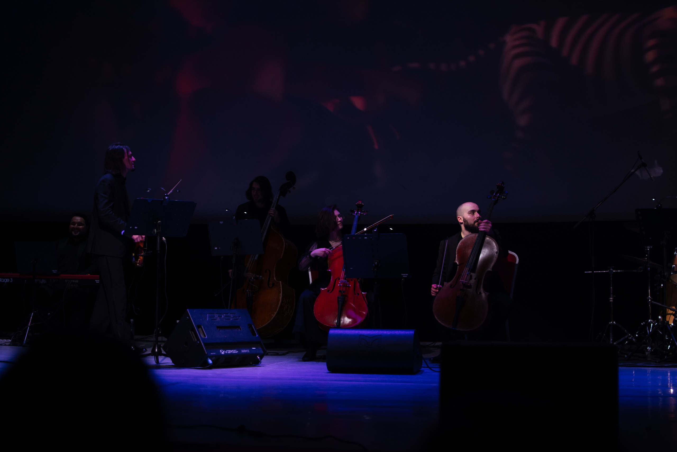 Концерт оркестра Cinematica. Репортажный фотограф в Новосибирске