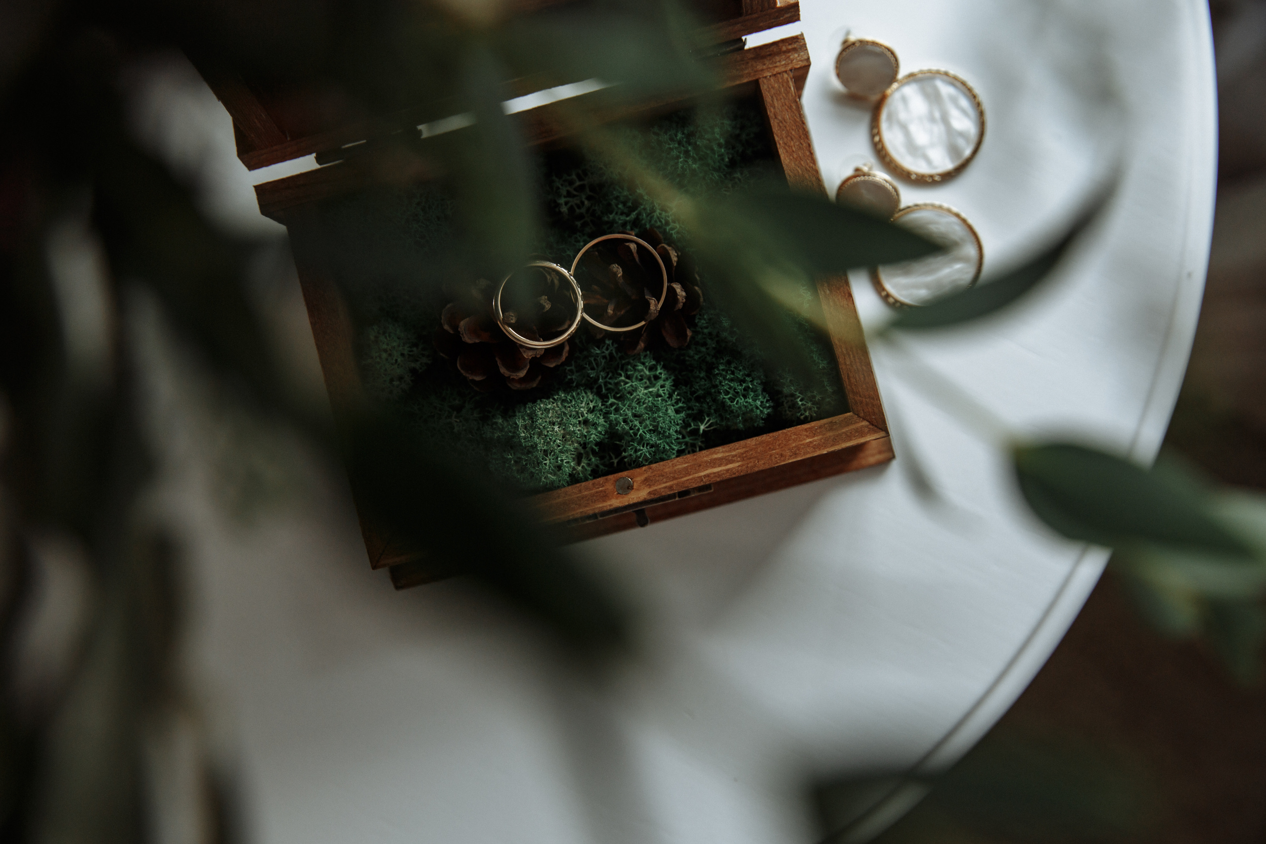 Елена & Максим. Свадебный и семейный фотограф Татьяна Селезнева