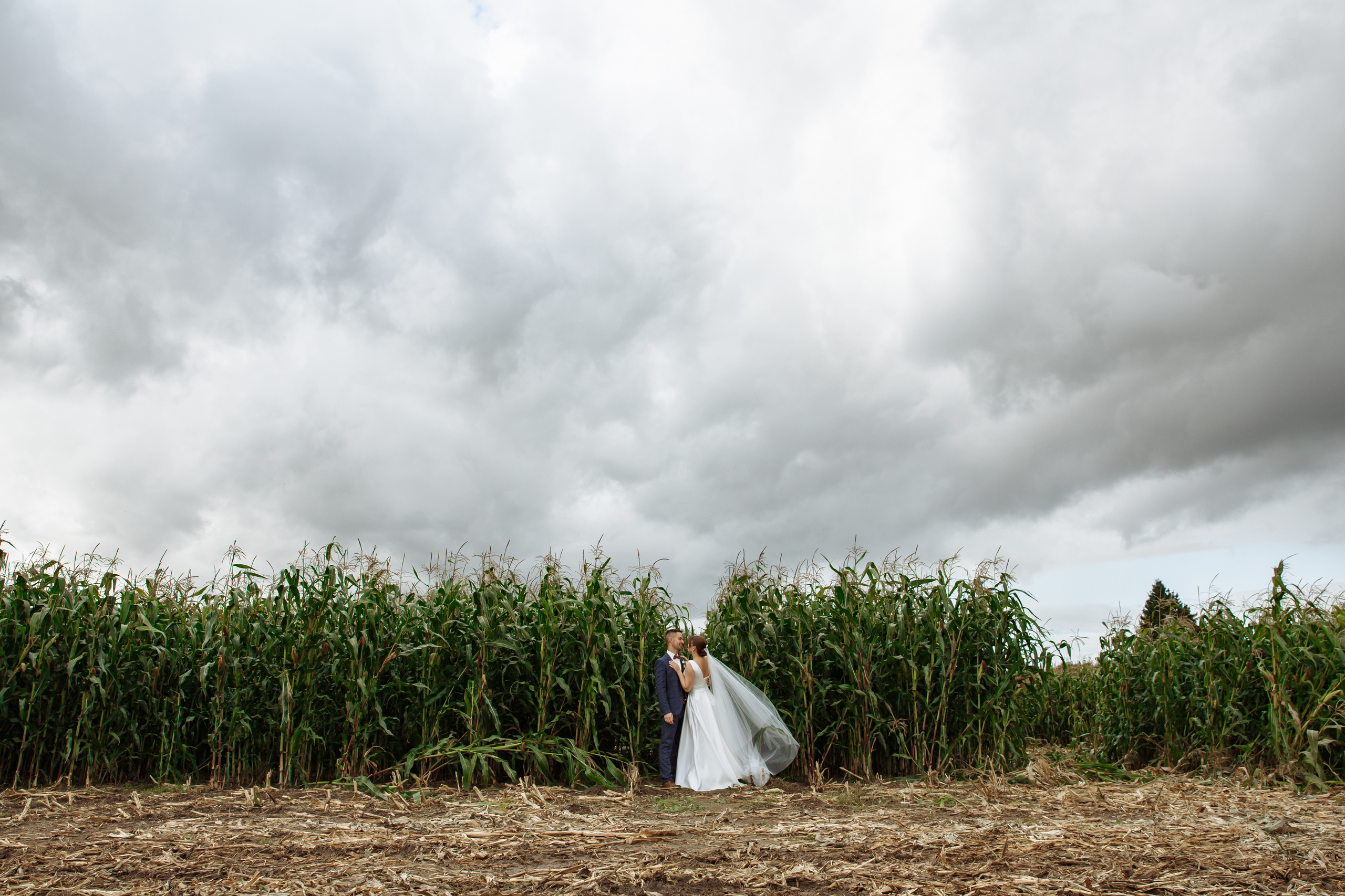 Елена & Максим. Свадебный и семейный фотограф Татьяна Селезнева
