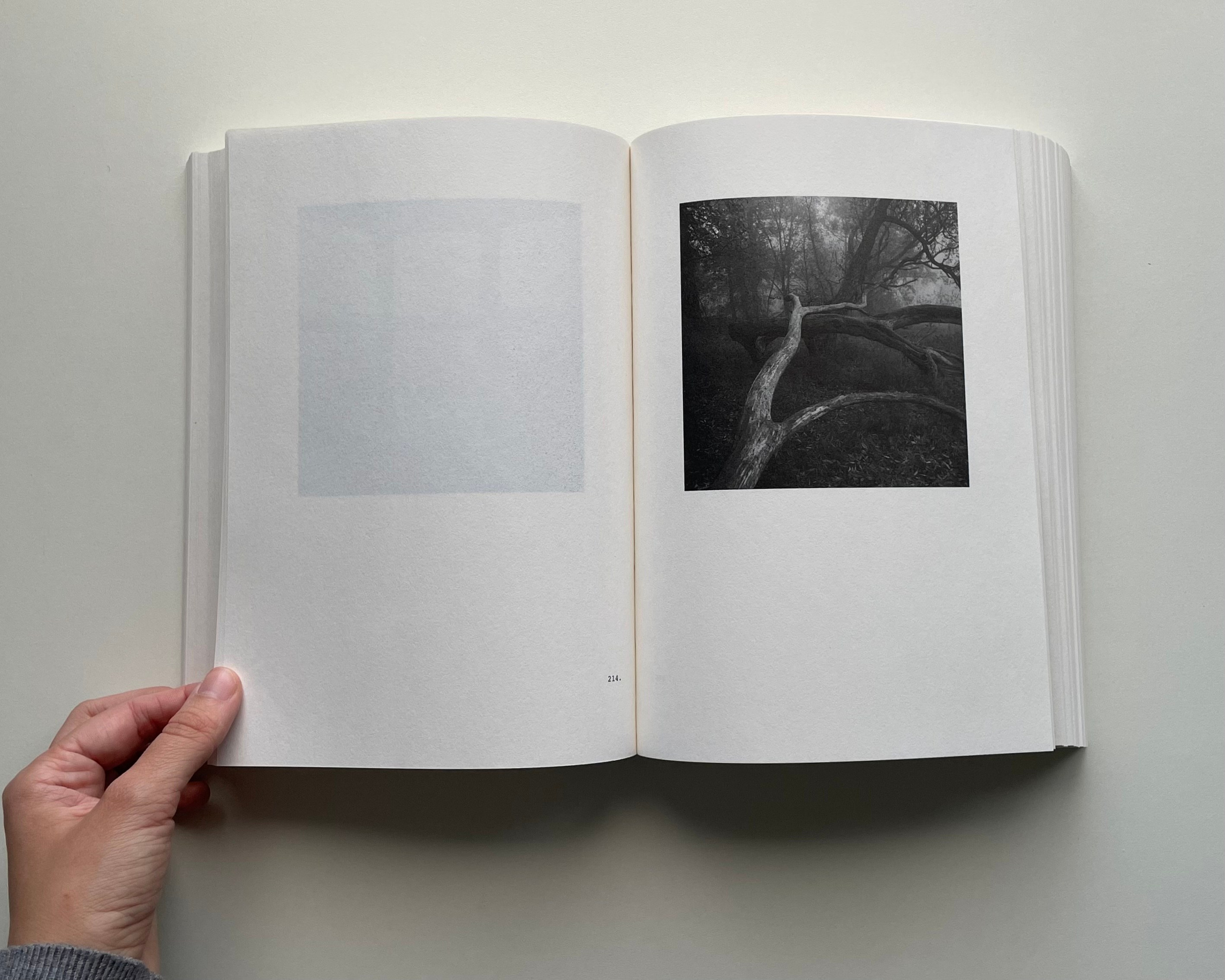 Фотокнижная библиотека Елизаветы Веприцкой. Фотограф и исследователь фотографии из Санкт-Петербурга Елизавета Веприцкая