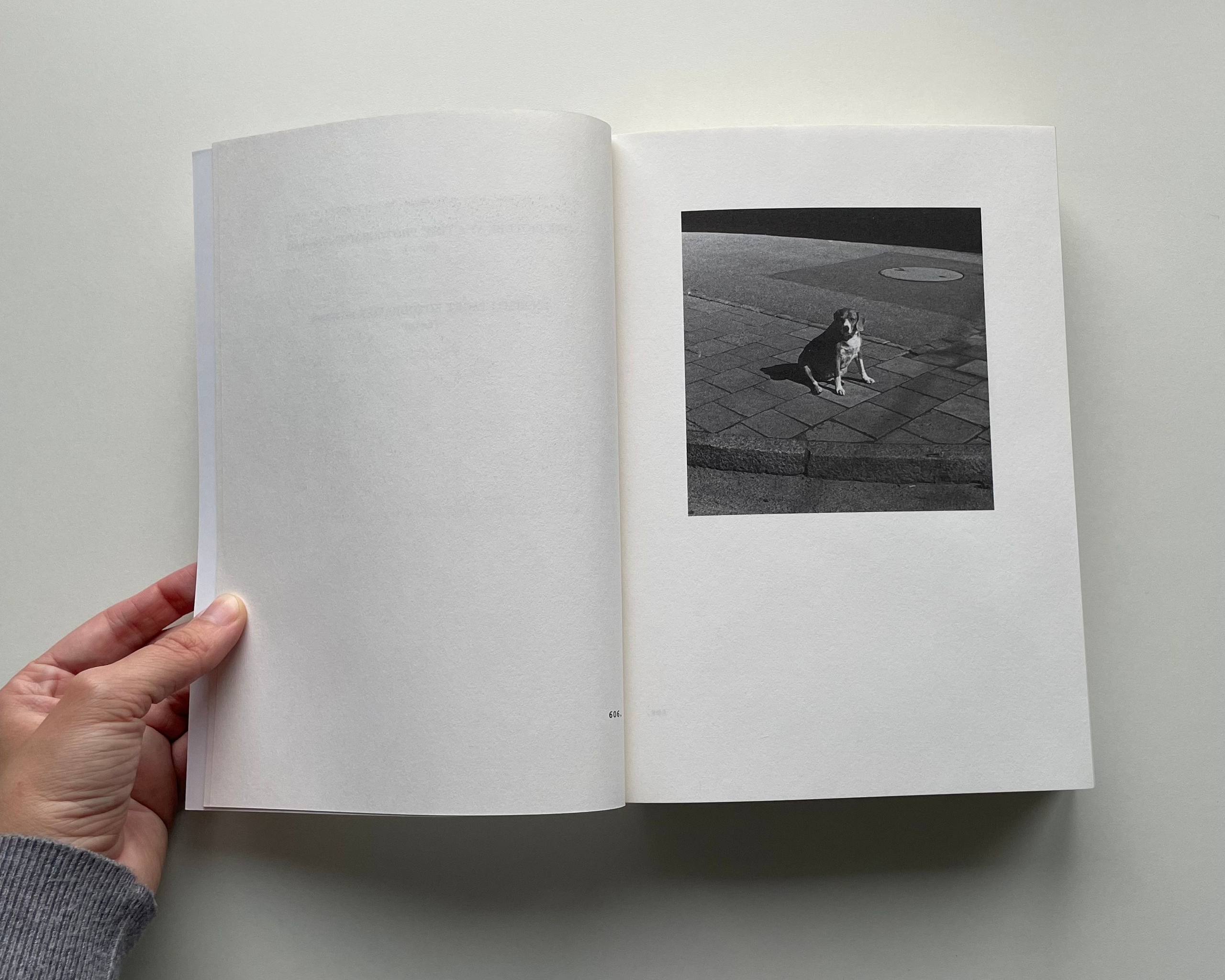 Фотокнижная библиотека Елизаветы Веприцкой. Фотограф и исследователь фотографии из Санкт-Петербурга Елизавета Веприцкая