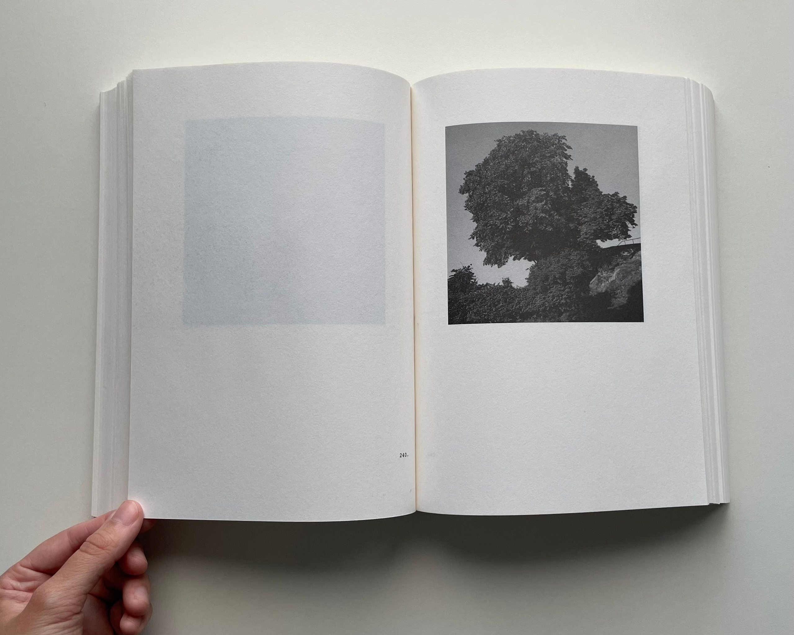 Фотокнижная библиотека Елизаветы Веприцкой. Фотограф и исследователь фотографии из Санкт-Петербурга Елизавета Веприцкая