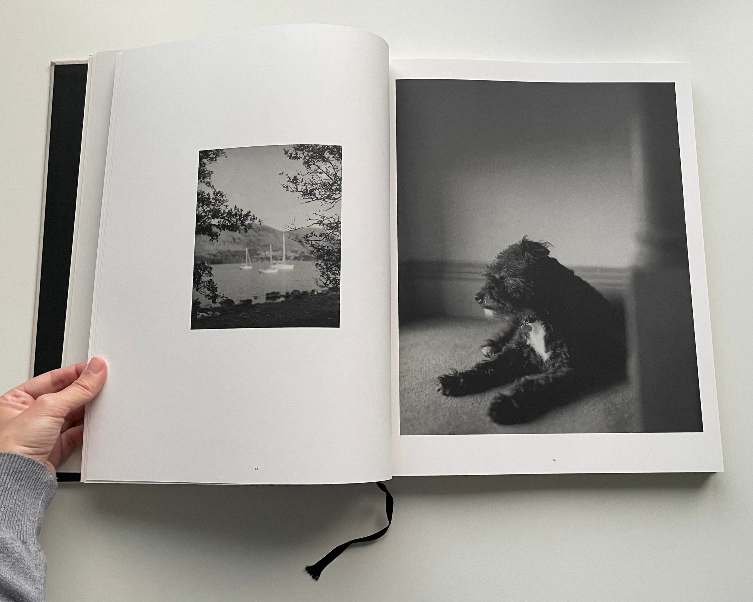 Фотокнижная библиотека Елизаветы Веприцкой. Фотограф и исследователь фотографии из Санкт-Петербурга Елизавета Веприцкая