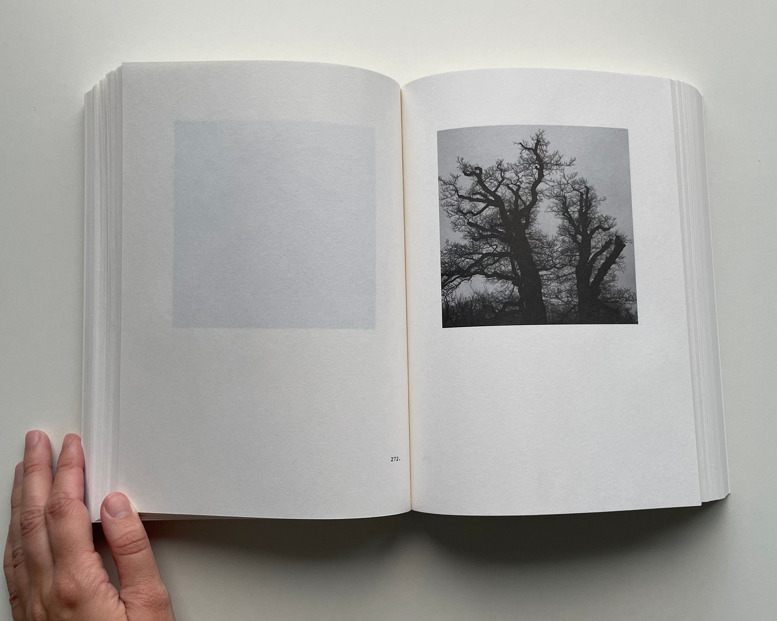 Фотокнижная библиотека Елизаветы Веприцкой. Фотограф и исследователь фотографии из Санкт-Петербурга Елизавета Веприцкая