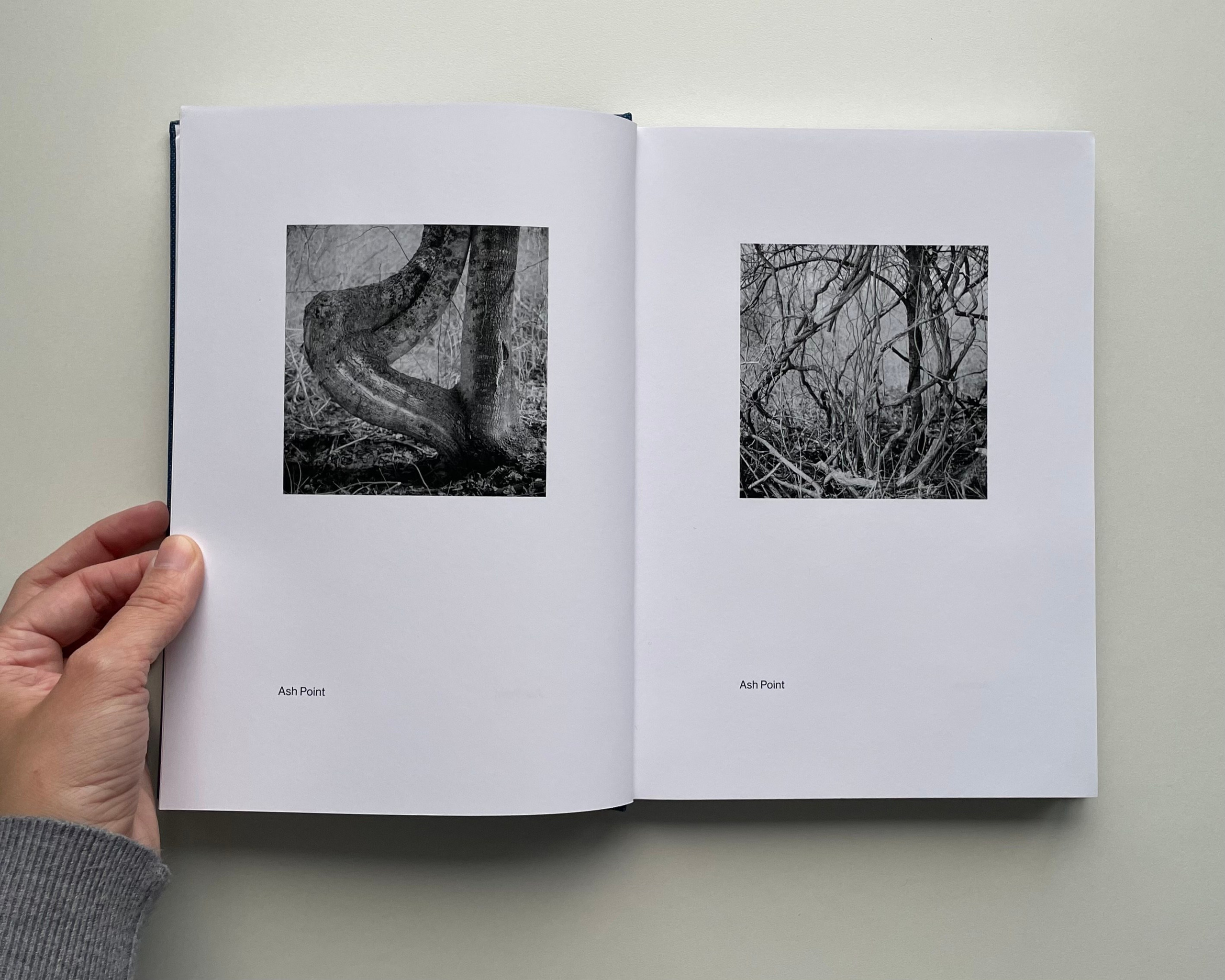 Фотокнижная библиотека Елизаветы Веприцкой. Фотограф и исследователь фотографии из Санкт-Петербурга Елизавета Веприцкая