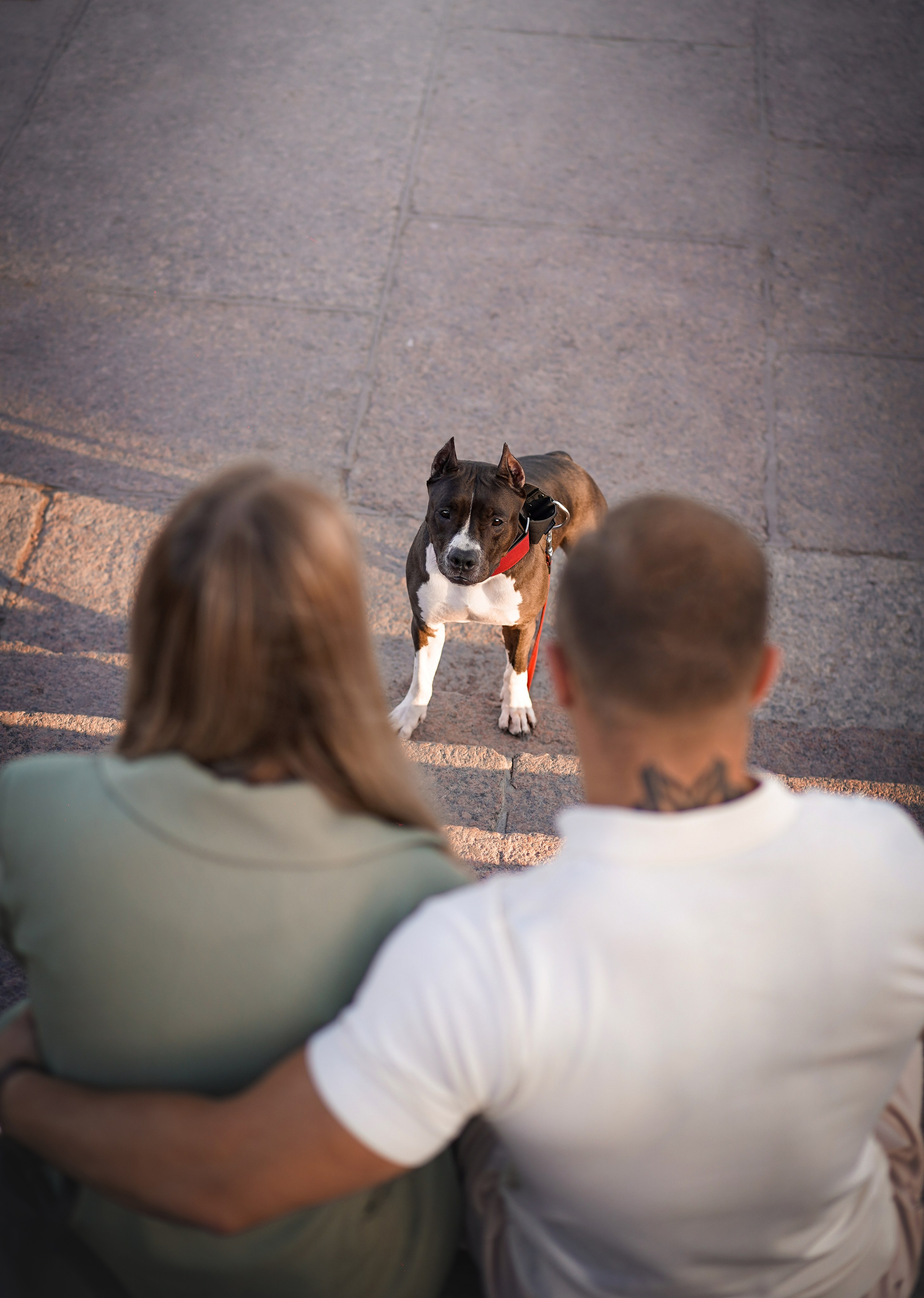 Аня Терентий и Кайли. Фотограф-анималист в Санкт-Петербурге Яна Мартынова