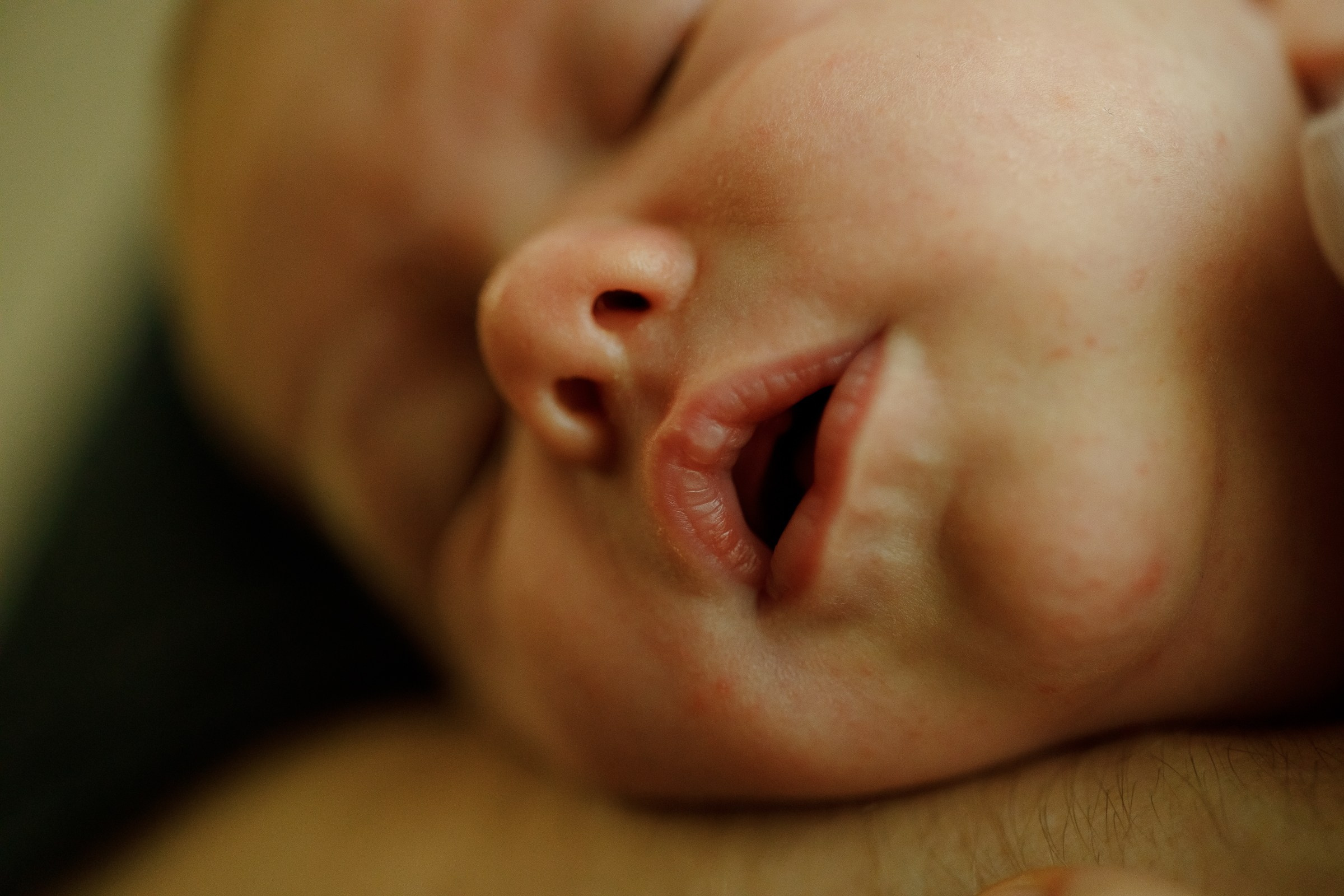 Месяц Александре. Фотограф Москва