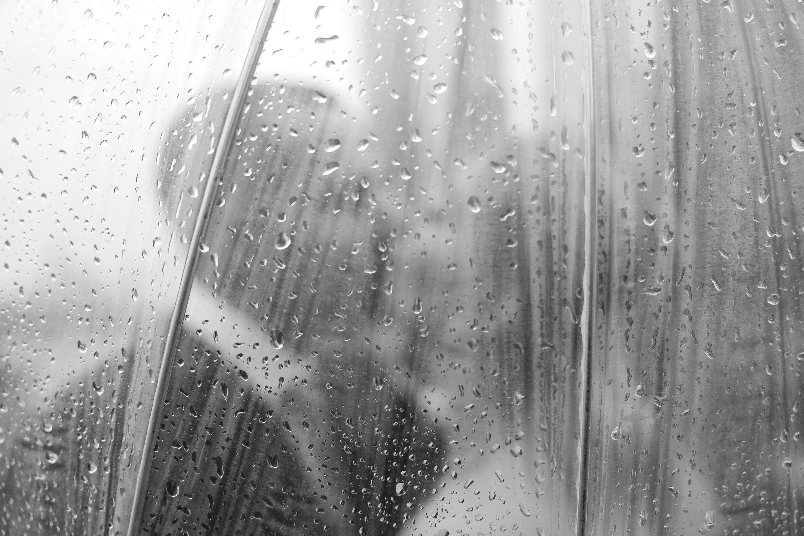 Wedding. Юрий Белозёров фотограф