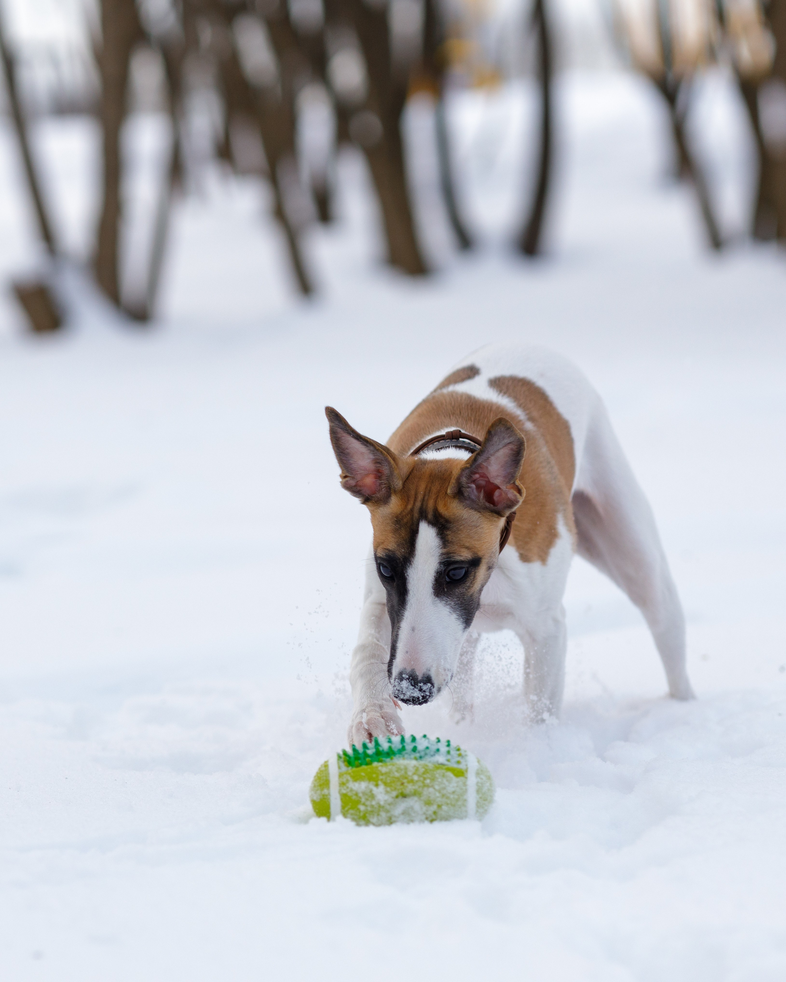 Ланди. Анна Самохина. Фотограф. Москва