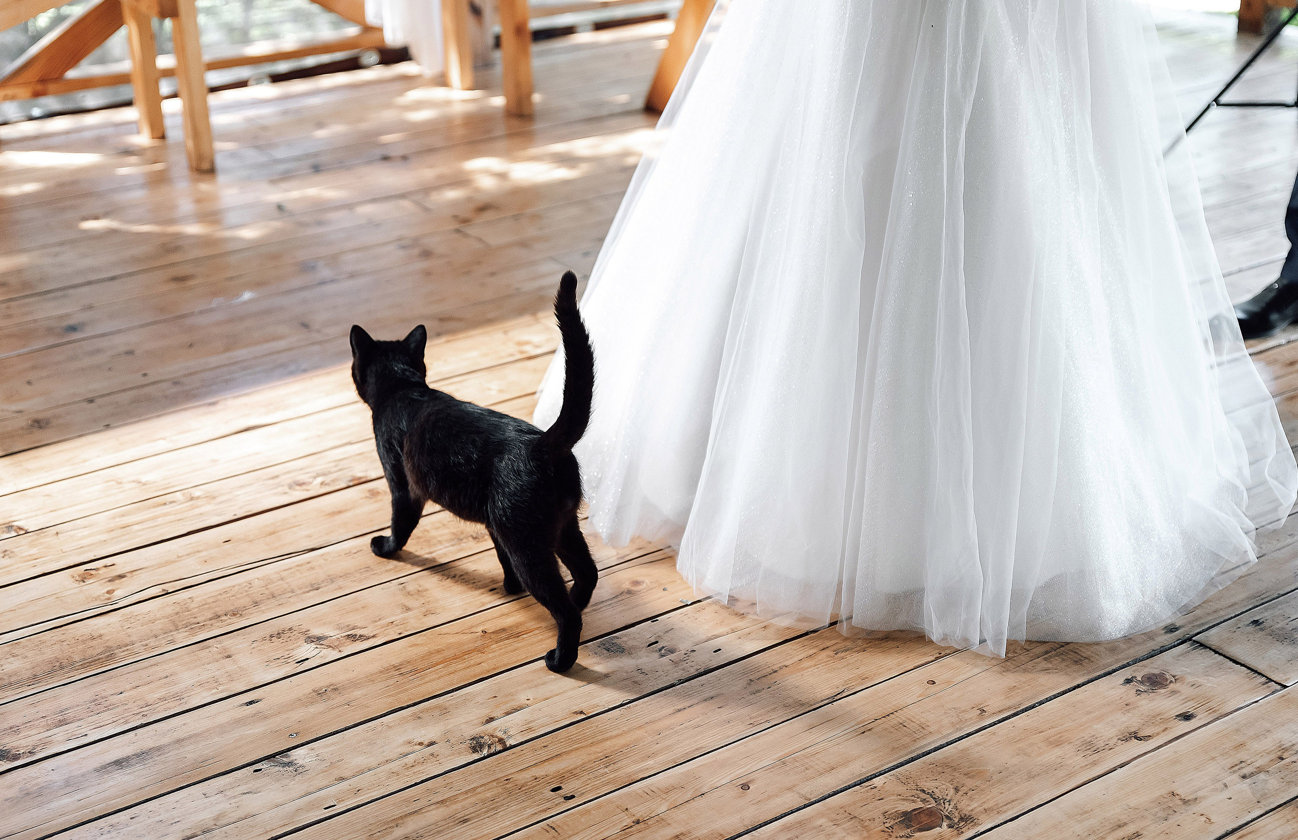 Анастасия и Александр. Свадебный и семейный фотограф в Туле Ксения Сильвер
