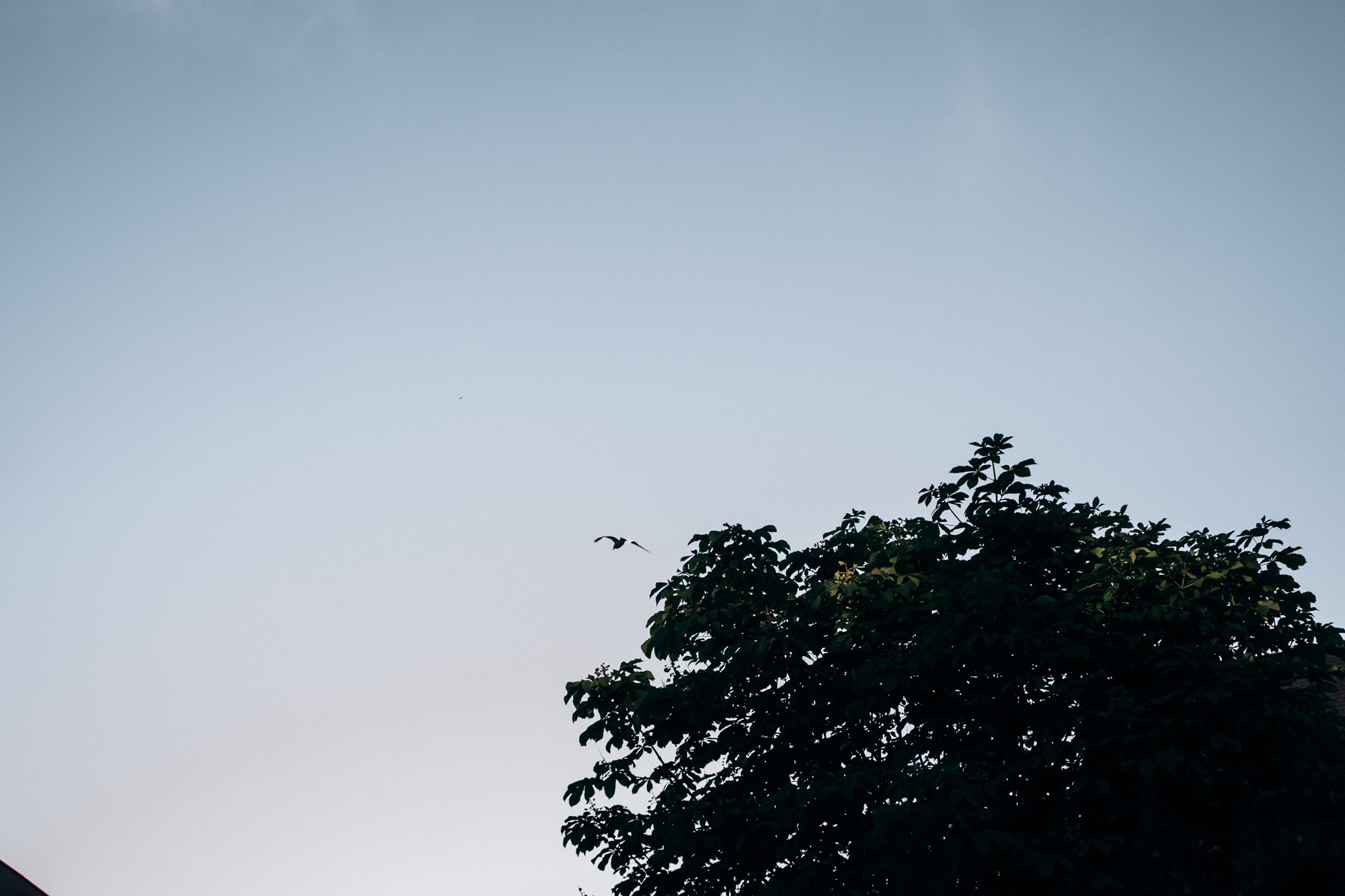 Фотограф на роды в Москве. Фотограф на роды в Москве Алла Rockymouse