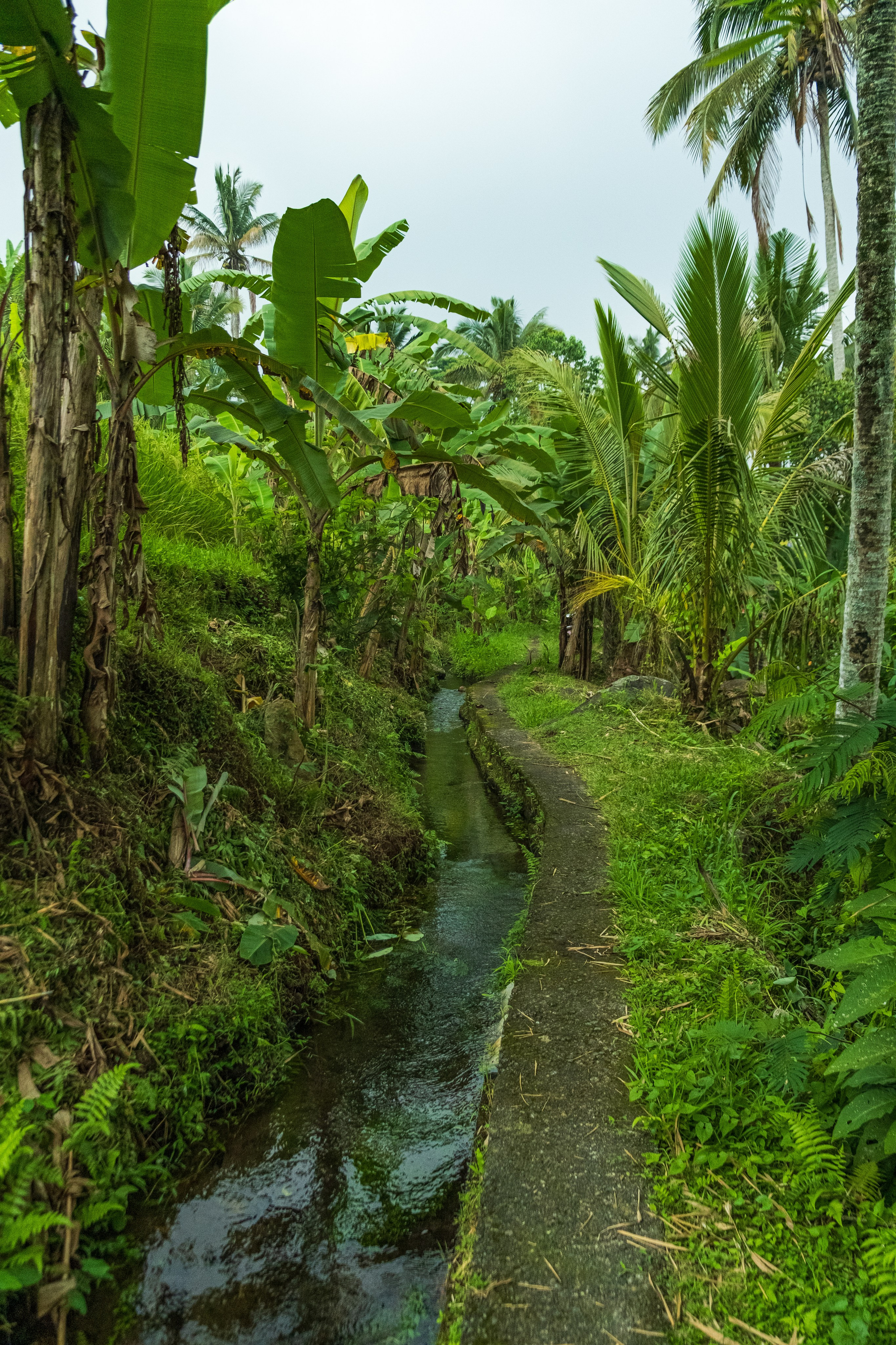 Остров Бали. Фотографии из путешествий