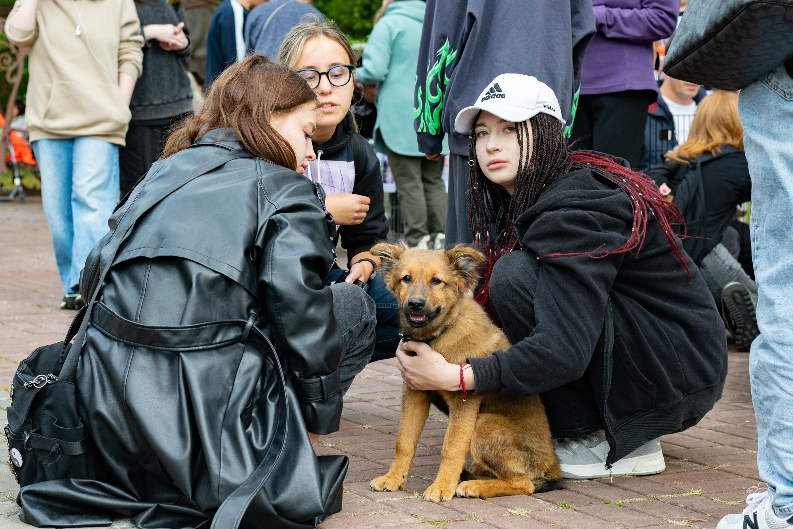 Антон Курдюмов фотограф в Хабаровске Рина Курдюмова фото27 foto27 Антон Дорофеев репортажный репортаж документалист Тони и Рина фотосоздатели Международный фестиваль Рок в защиту животных Хабаровск