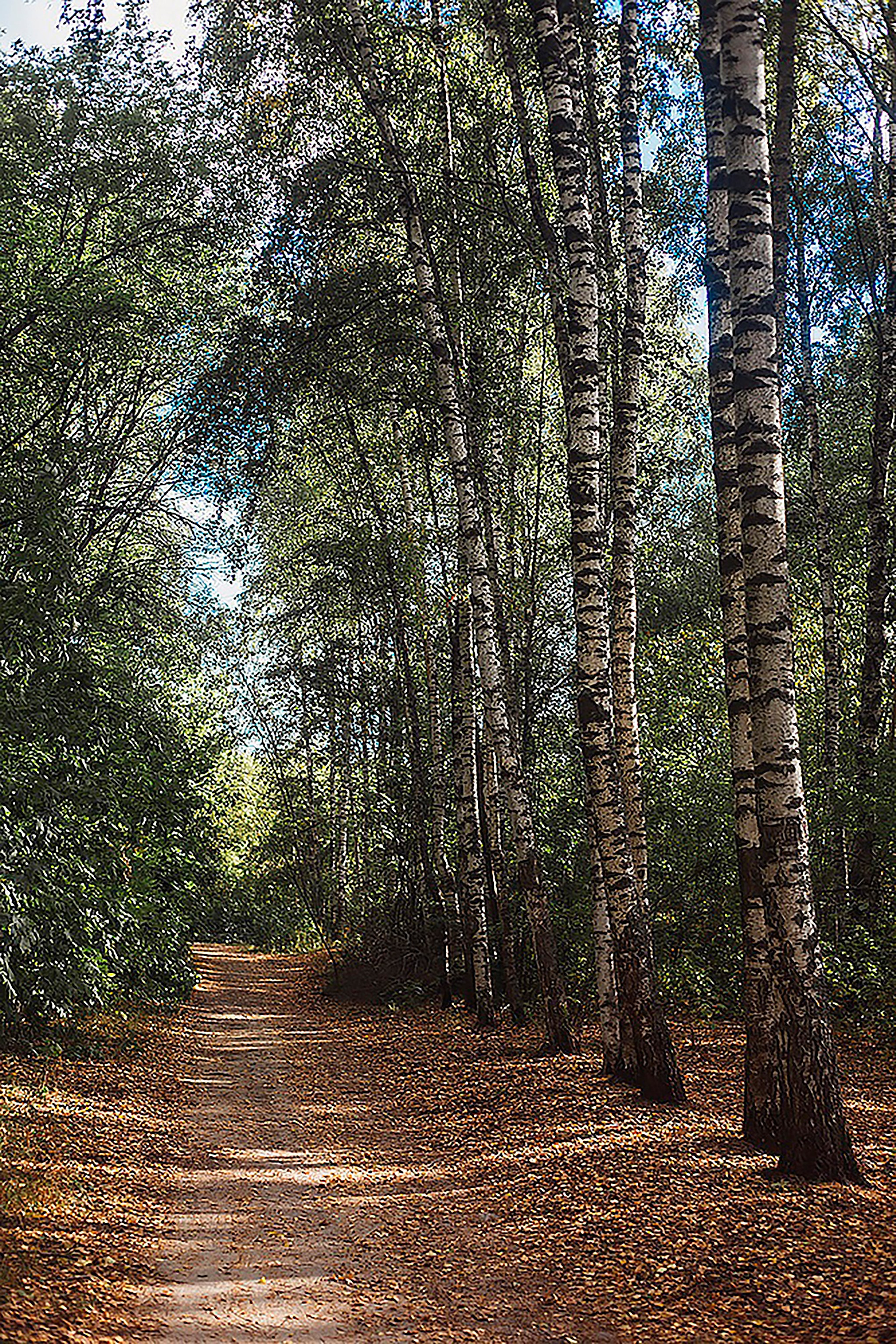 Дендрарий. Детский и семейный фотограф, фотограф мероприятий Нижний Новгород
