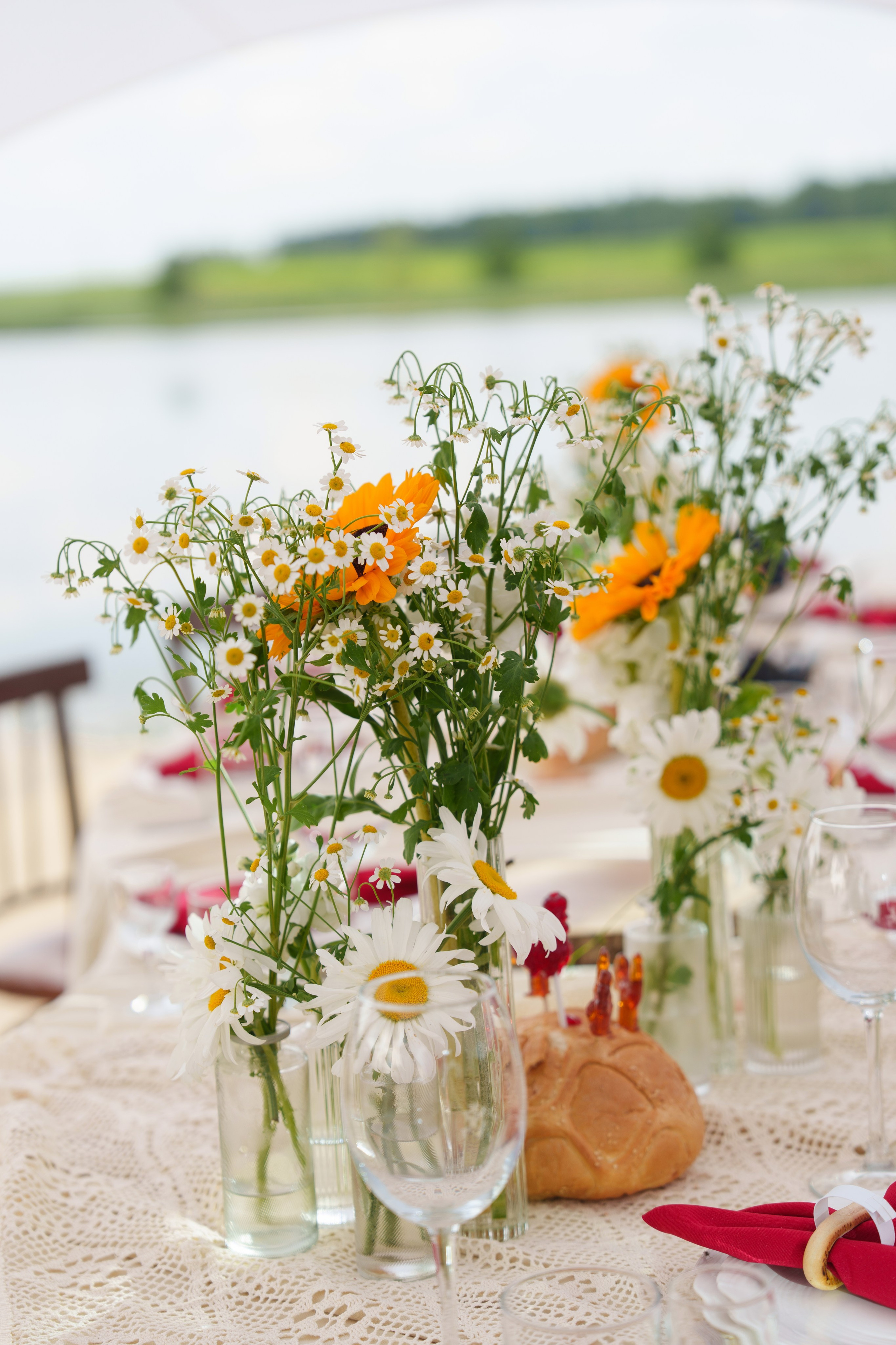 Михаил и Ольга (банкетная часть г. Брянск). Свадебный и репортажный фотограф Элина Козырьянова