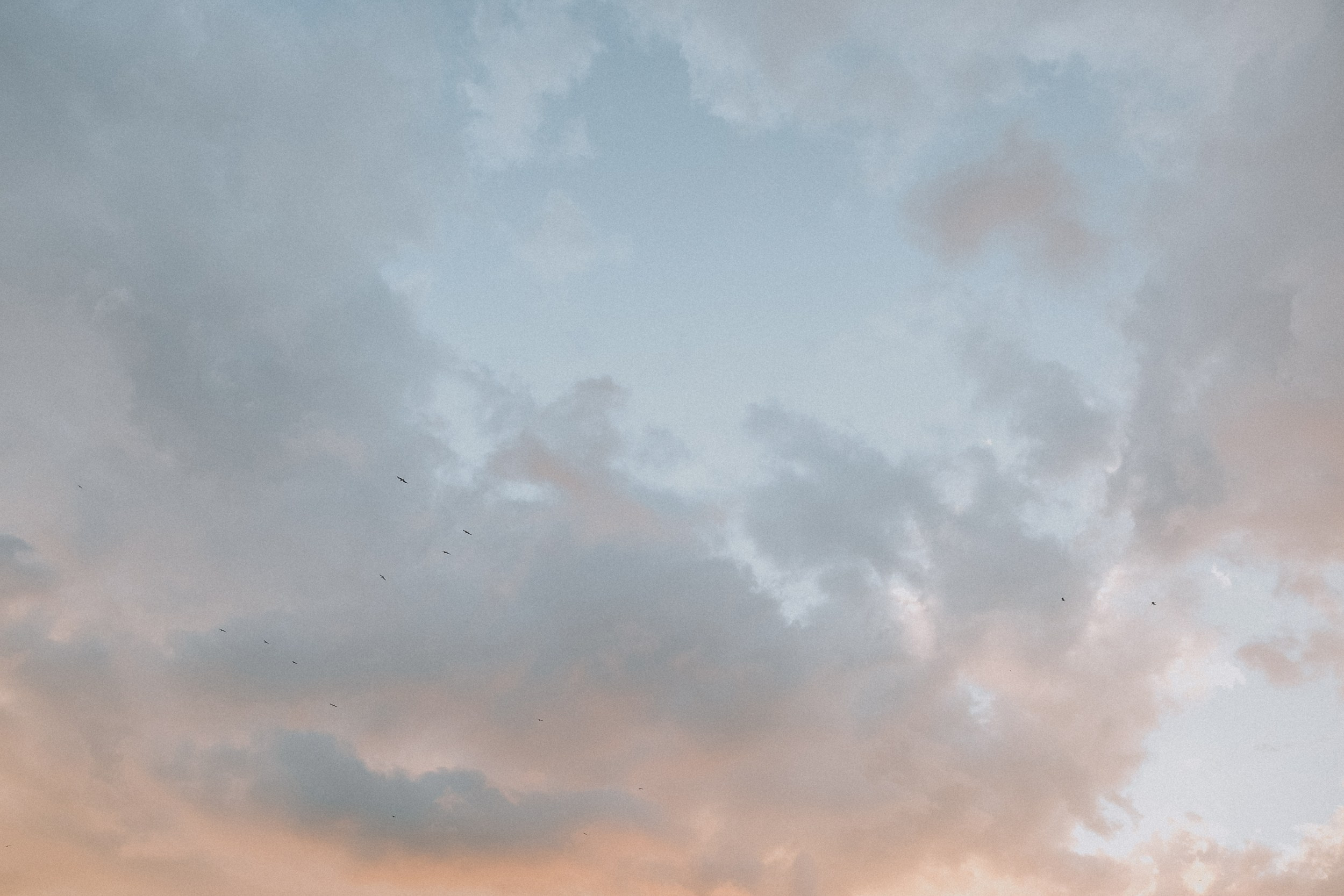 Семья Киры и Максима. Семейный фотограф Москва