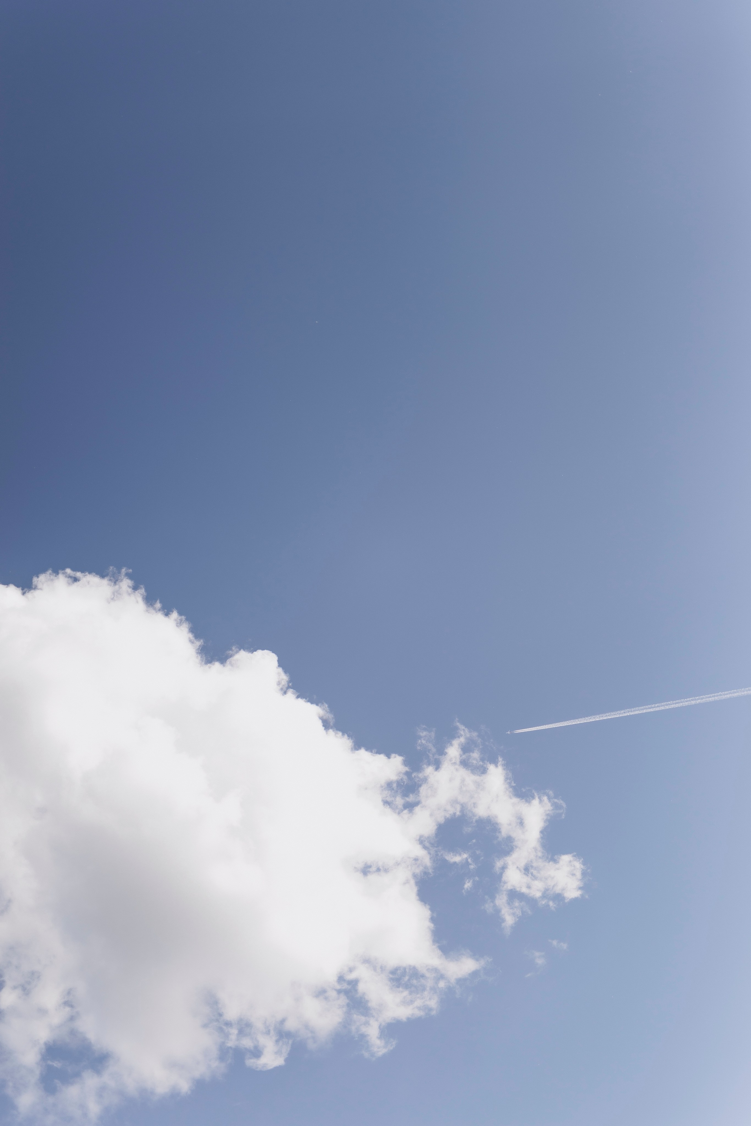 Свадьба Егора и Арины. Фотограф Кольчугино/Владимир/Москва Елизавета Иода