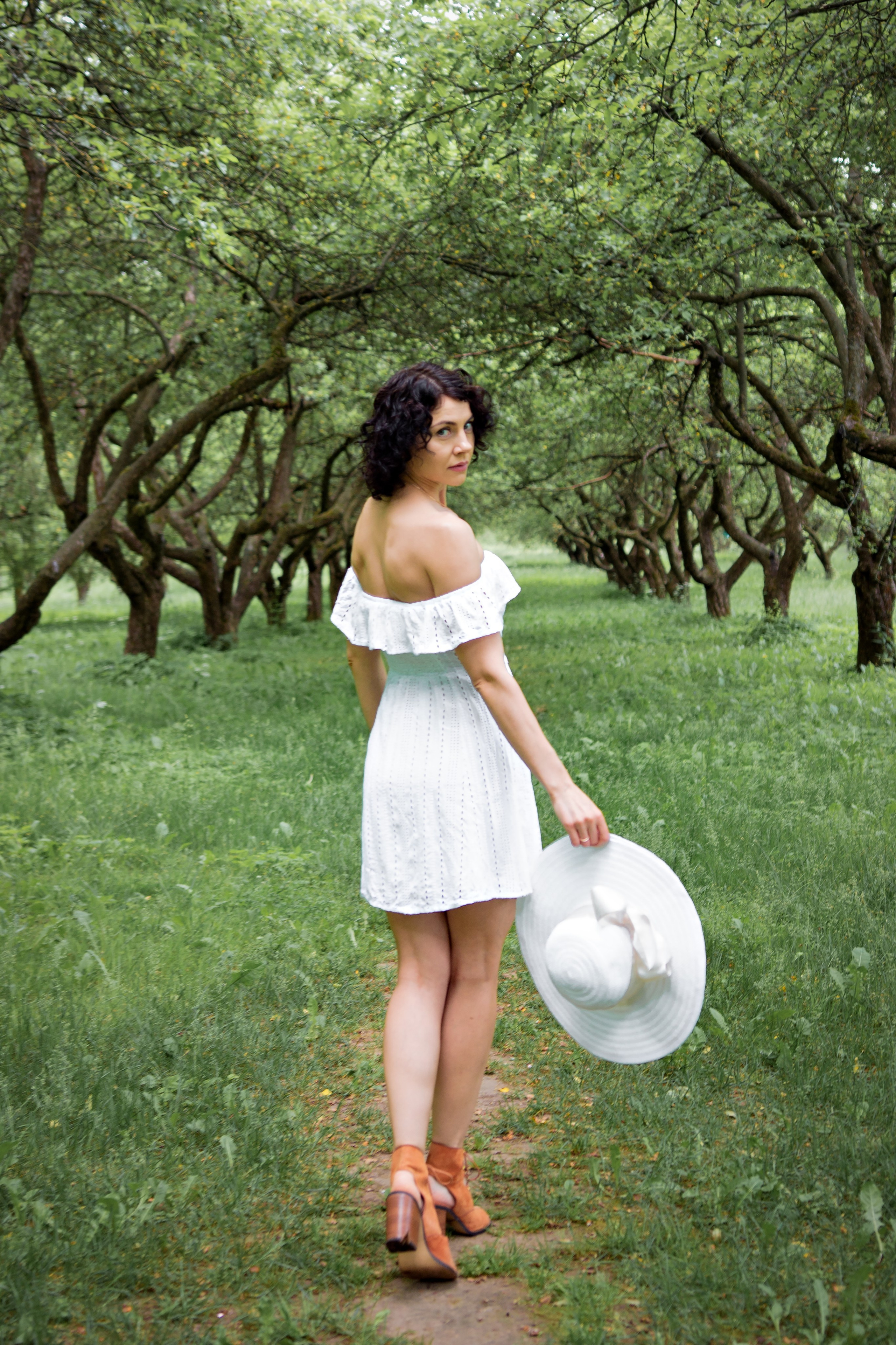 Зелёная симфония